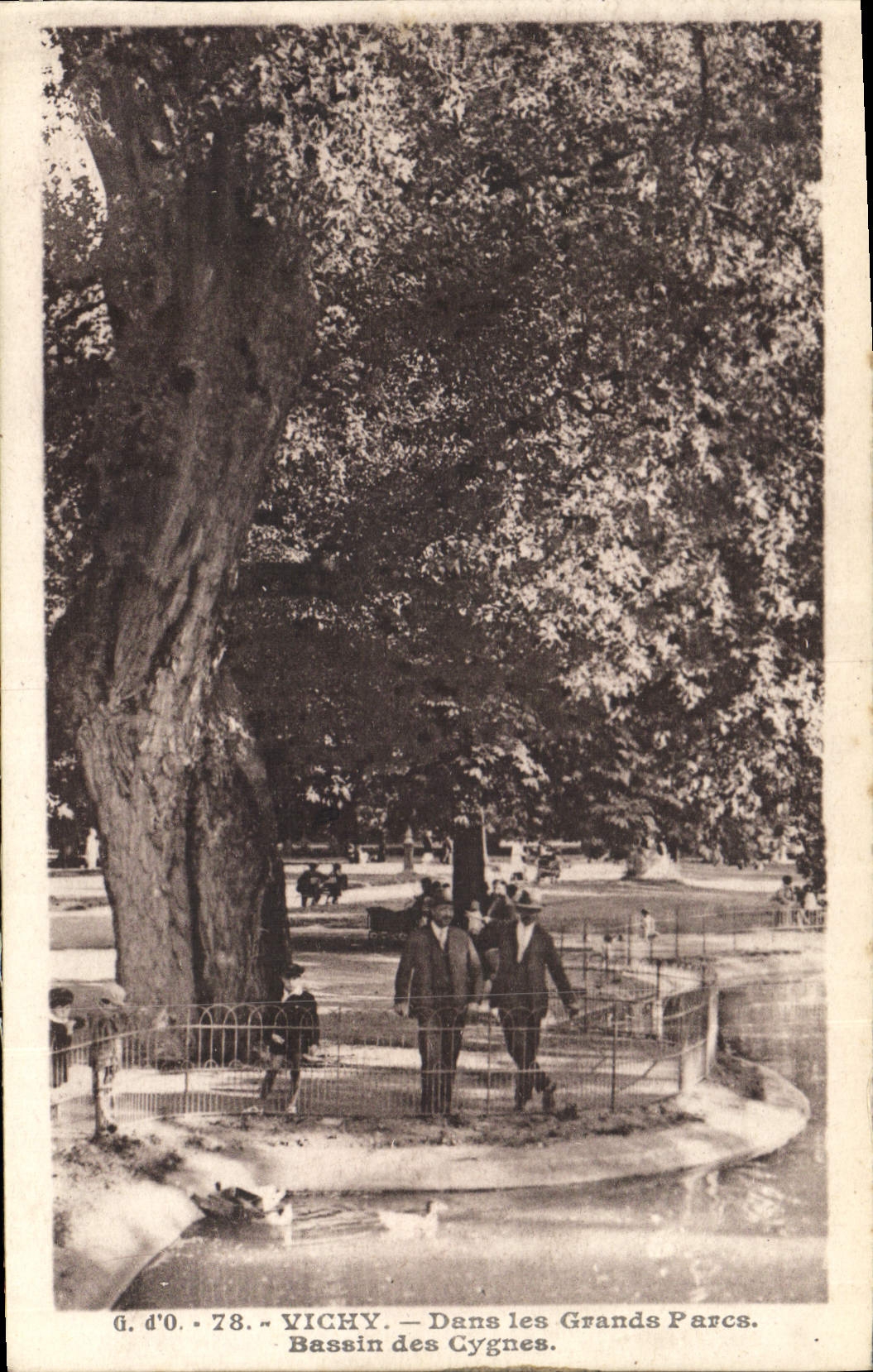 CPA Vichy Dans les Grands Parcs Bassin des Cygnes 
