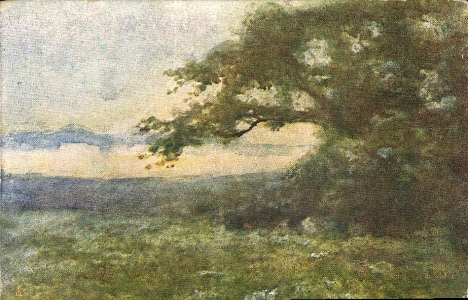 CPA Emilio Borsa Alba 