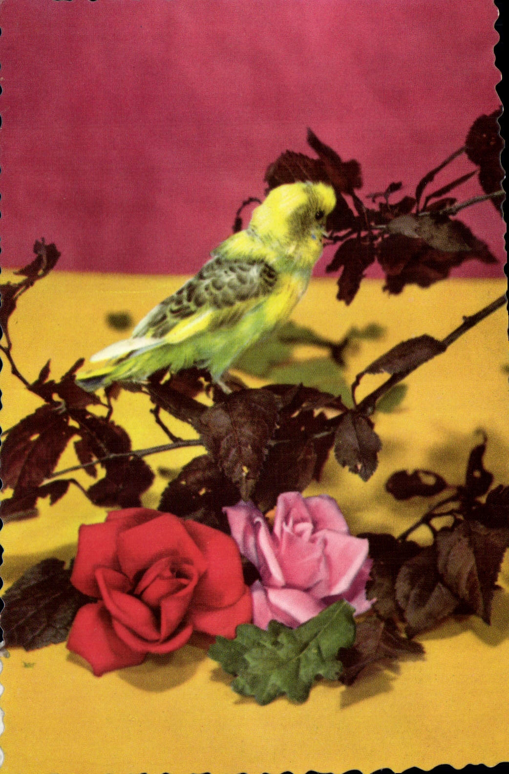 CPA Fantaisie Fleurs