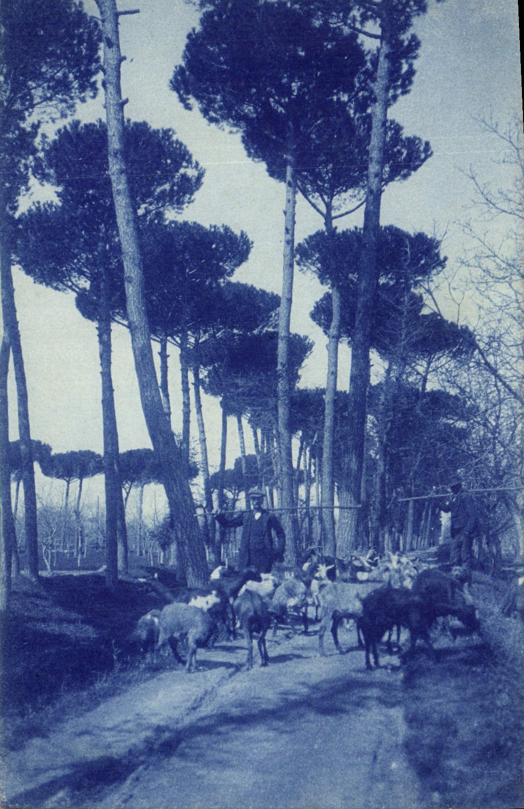 CPA Berger Chevres