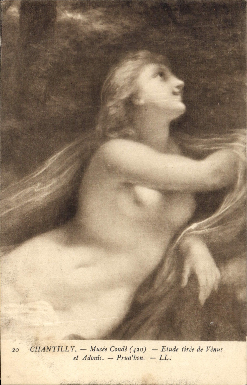 CPA Chantilly Mosee Conde Etude tiree de Venus et Adonis 