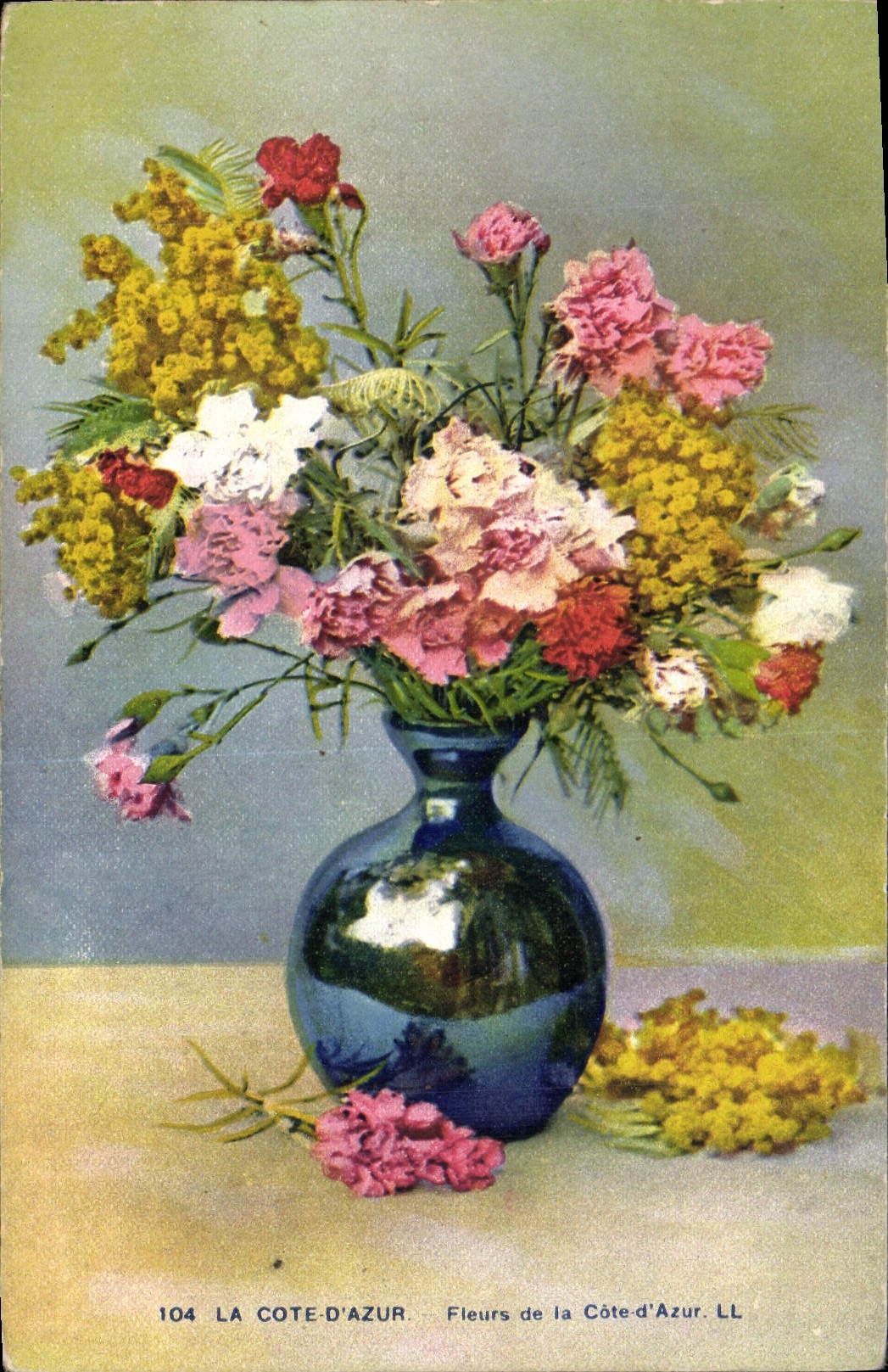 CPA La Cote d'Azur Fleurs de la Cote d'Azur Fleurs