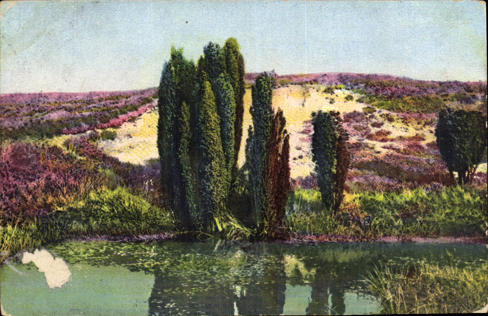 CPA Luneburger Heide Quellteich det Luhe 