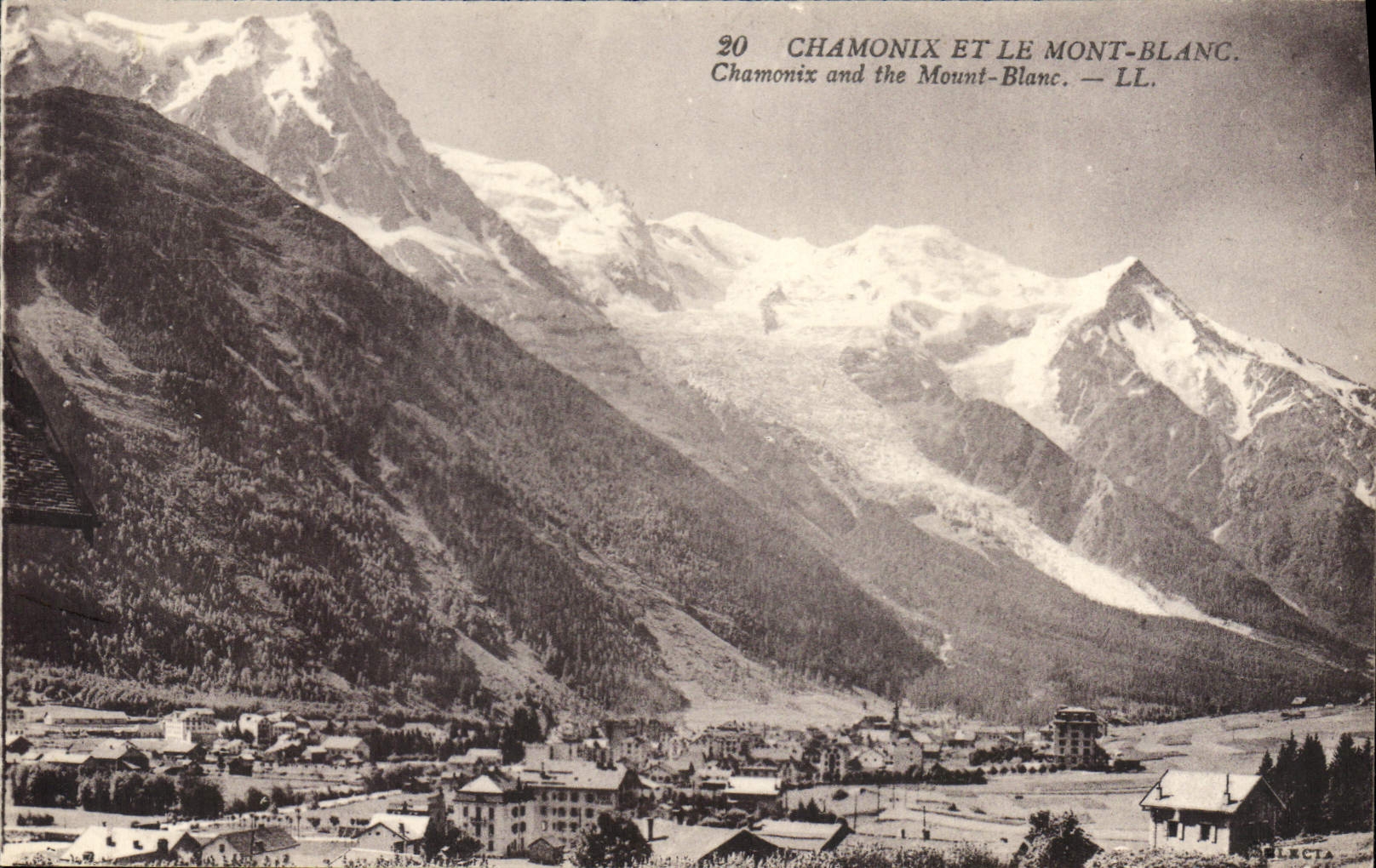 CPA Chamonix et le Mont Blanc 
