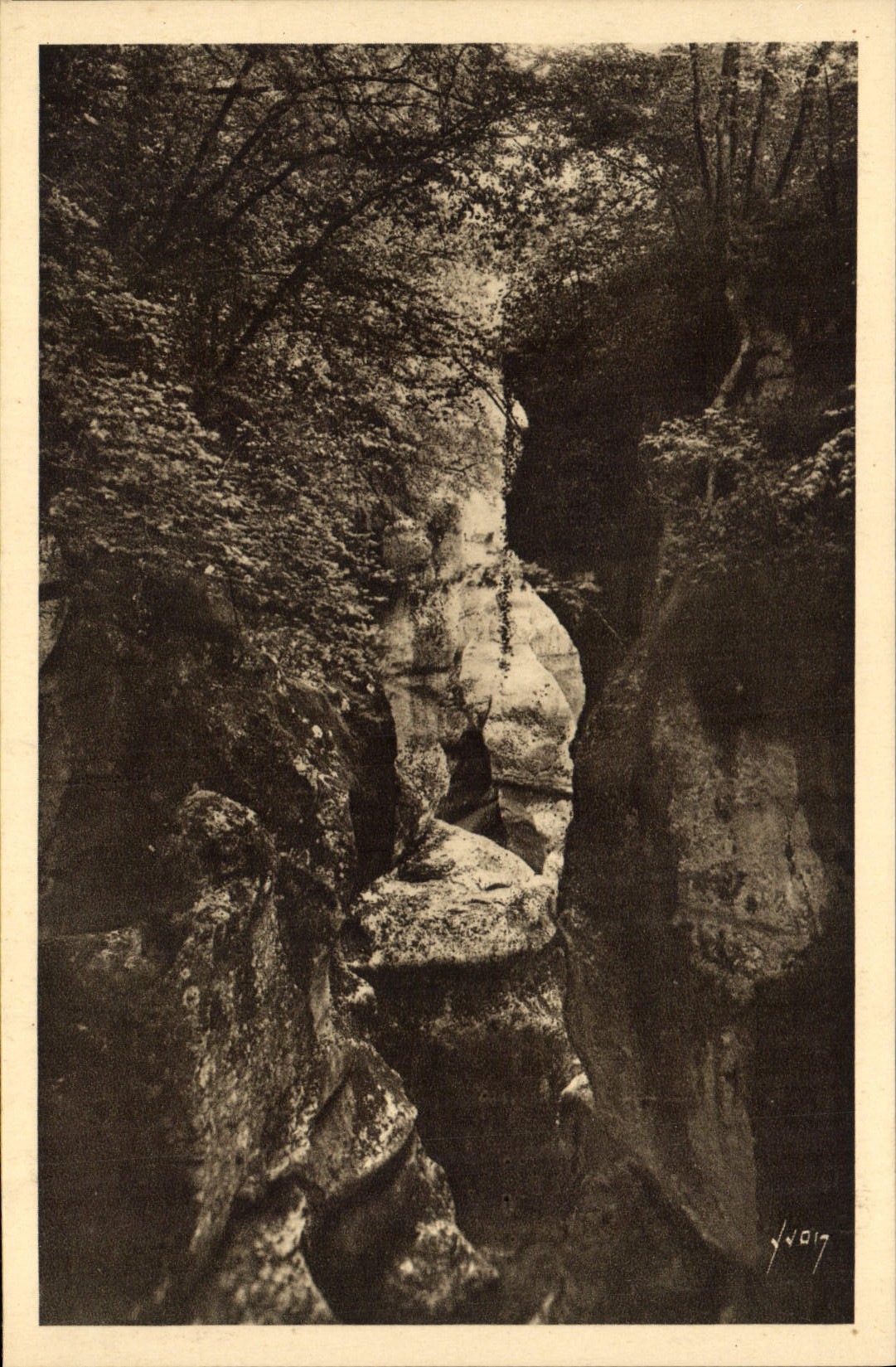 CPA Gorges du Fier Hte Savoie Les beaux Hetres 