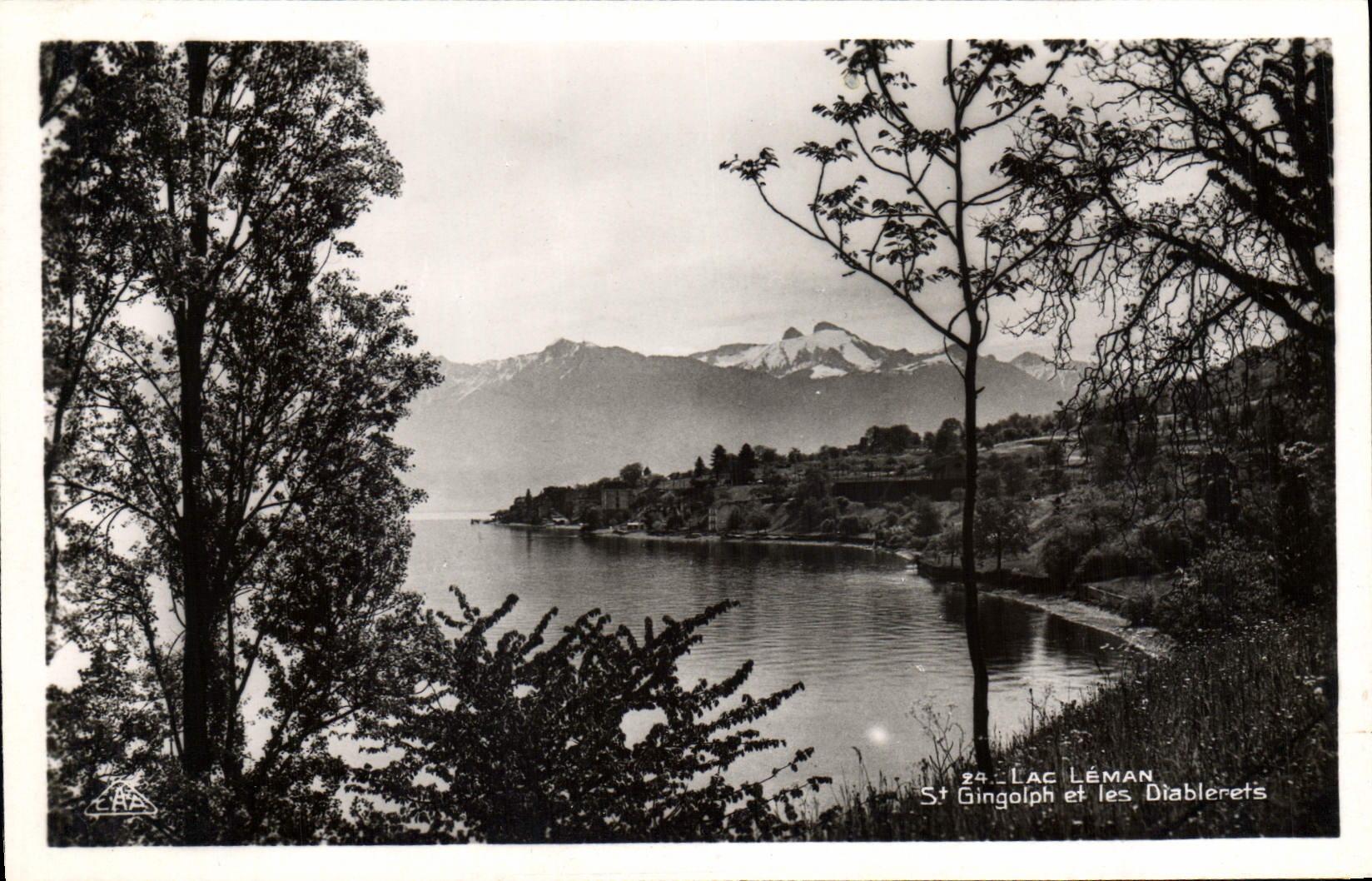 CPA Lac Leman St Gingolph et les Diablerets 