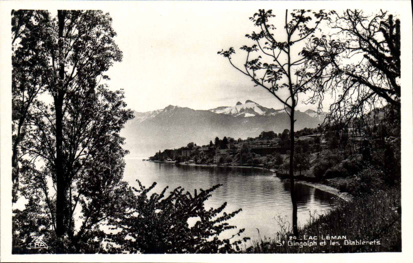 CPA Lac Leman St Gingolph et les Diablerets 