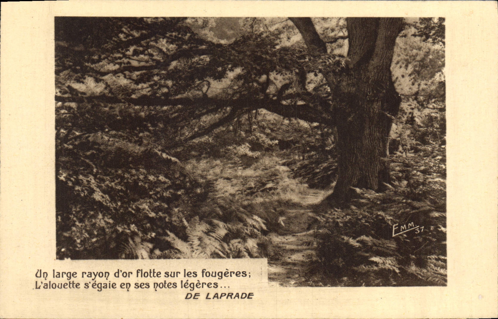 CPA Arbre De Laprade