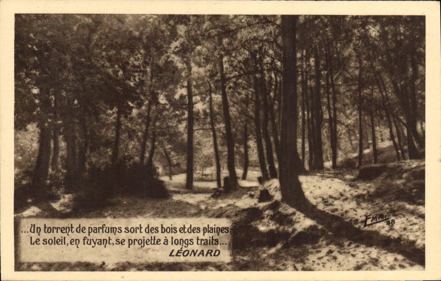 CPA Arbres Leonard