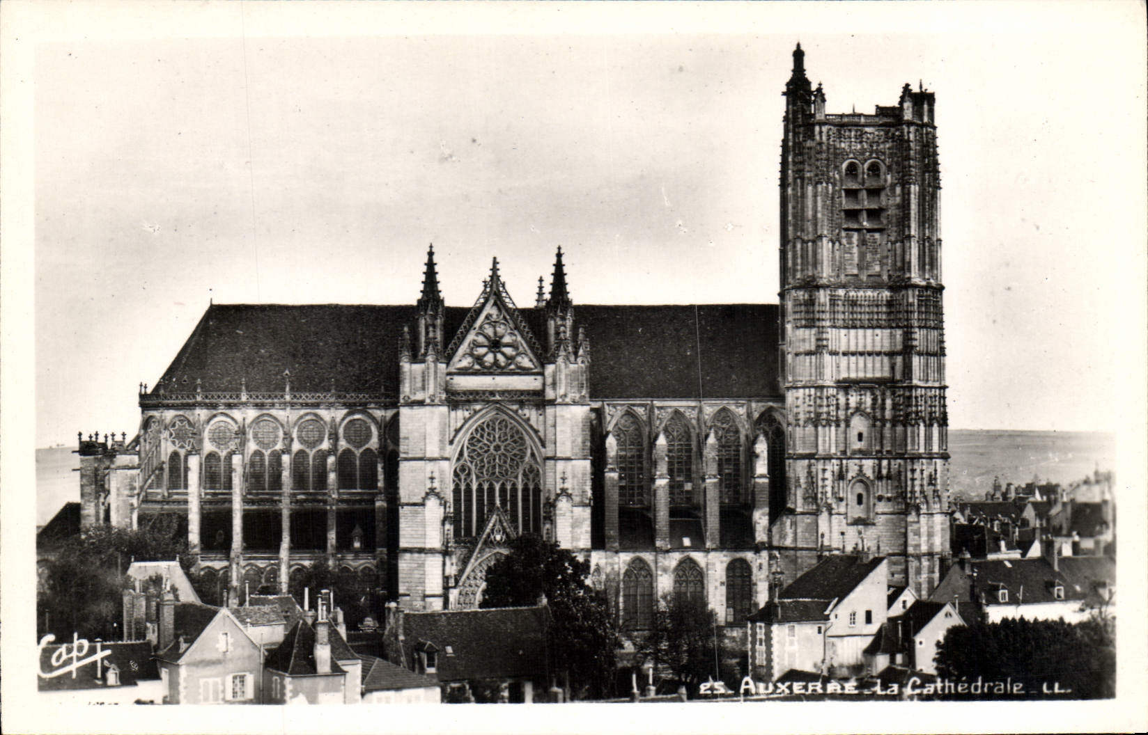 CPA Auxerre La Cathedrale 