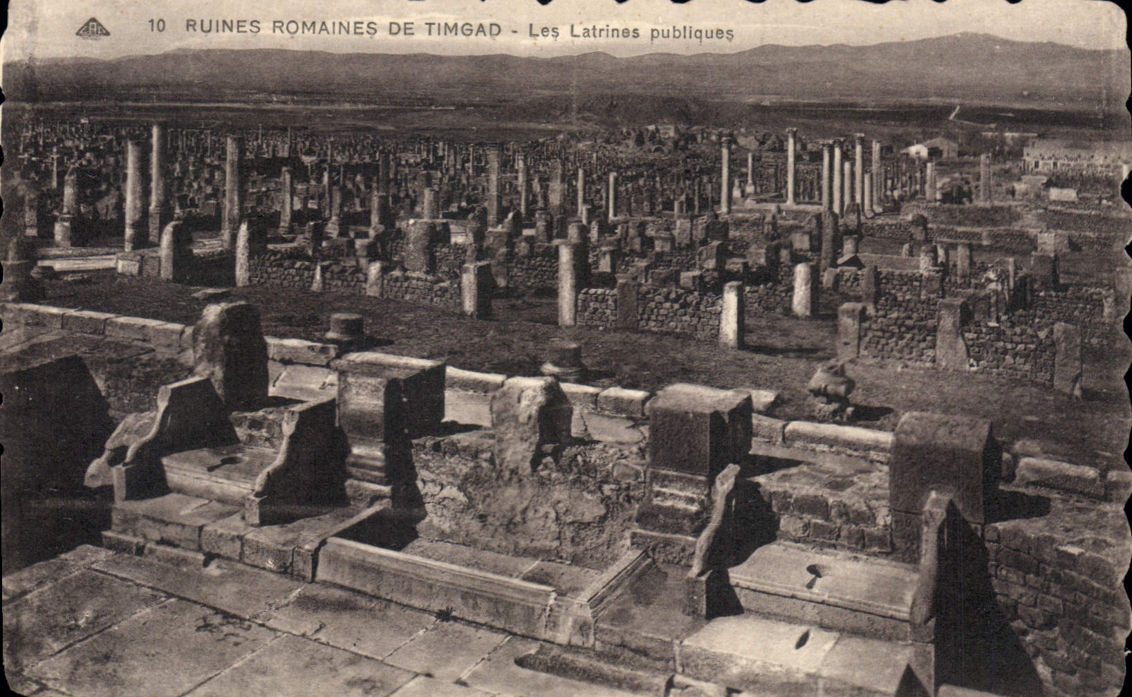 CPA Ruines Romaines de Timgad les Latrines Publiques 