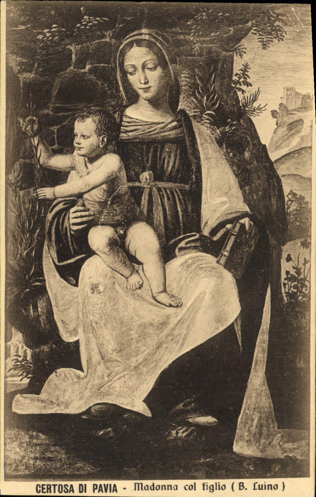 CPA Certosa di Pavia Madonna Col Figlio B Luino