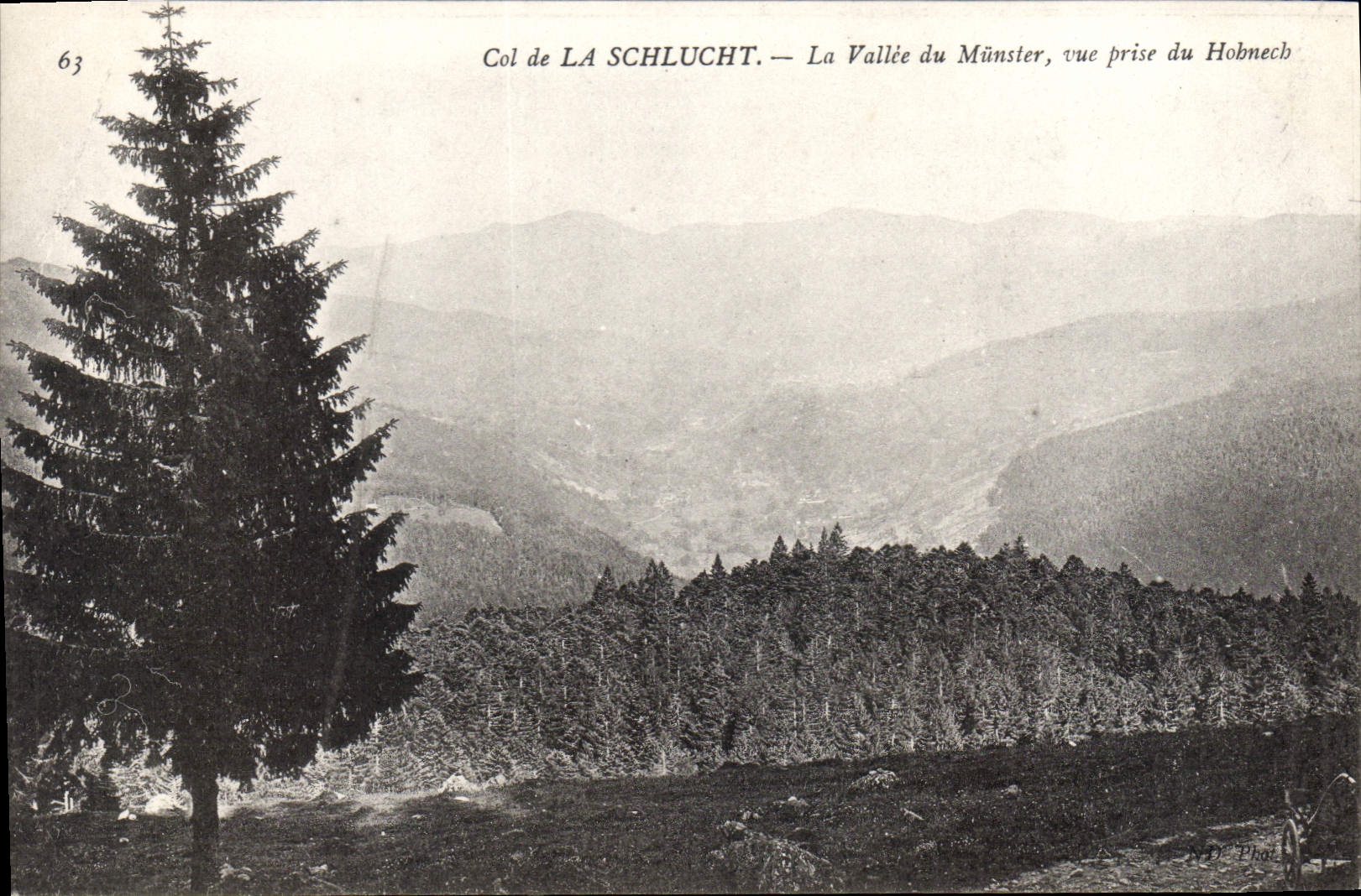 CPA Col de la Schlucht la Vallee du Muster vue prise du Hobmech