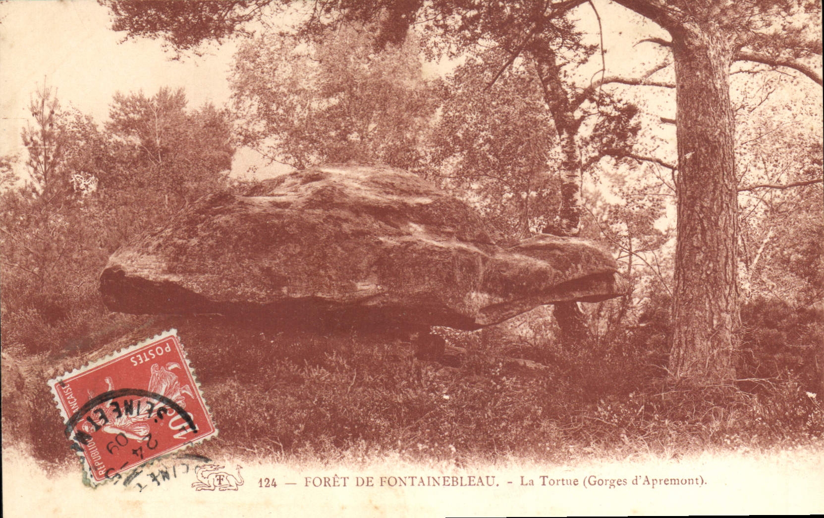 CPA Foret de Fontainebleau la Tortue Gorges d'Apremont 