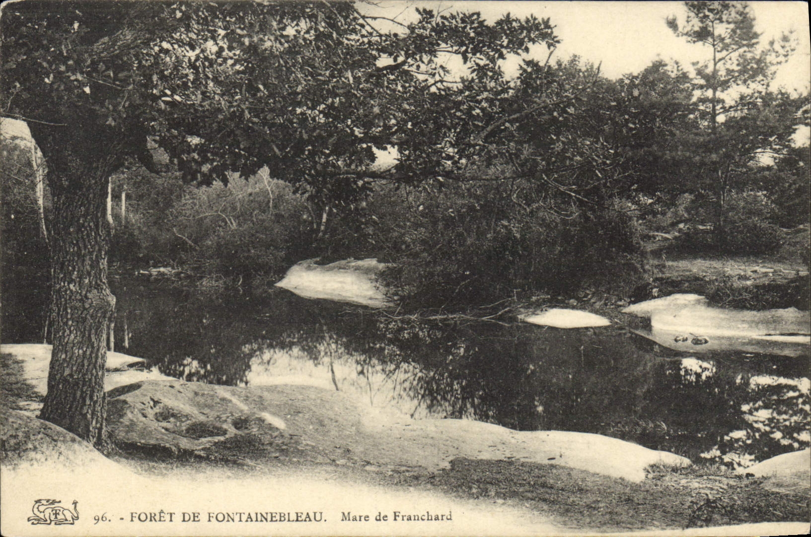 CPA Foret de Fontainebleau Mare de Franchard 