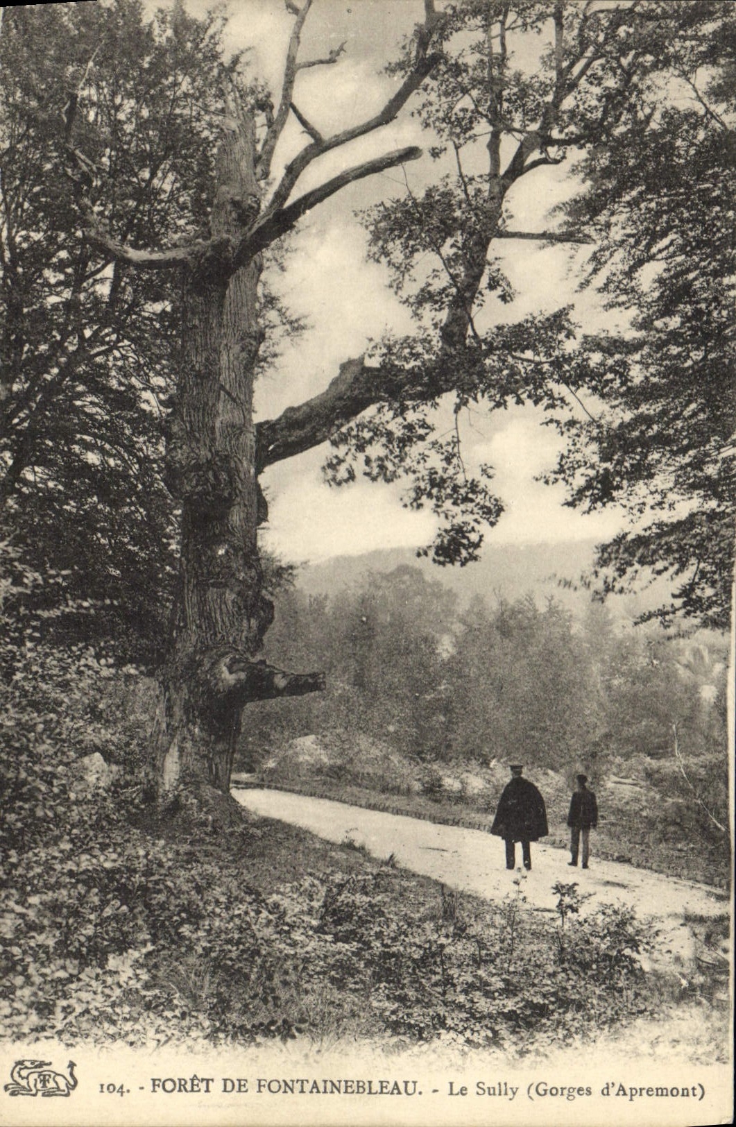 CPA Foret de Fontainebleau Le Sully Gorges d'Apremont 