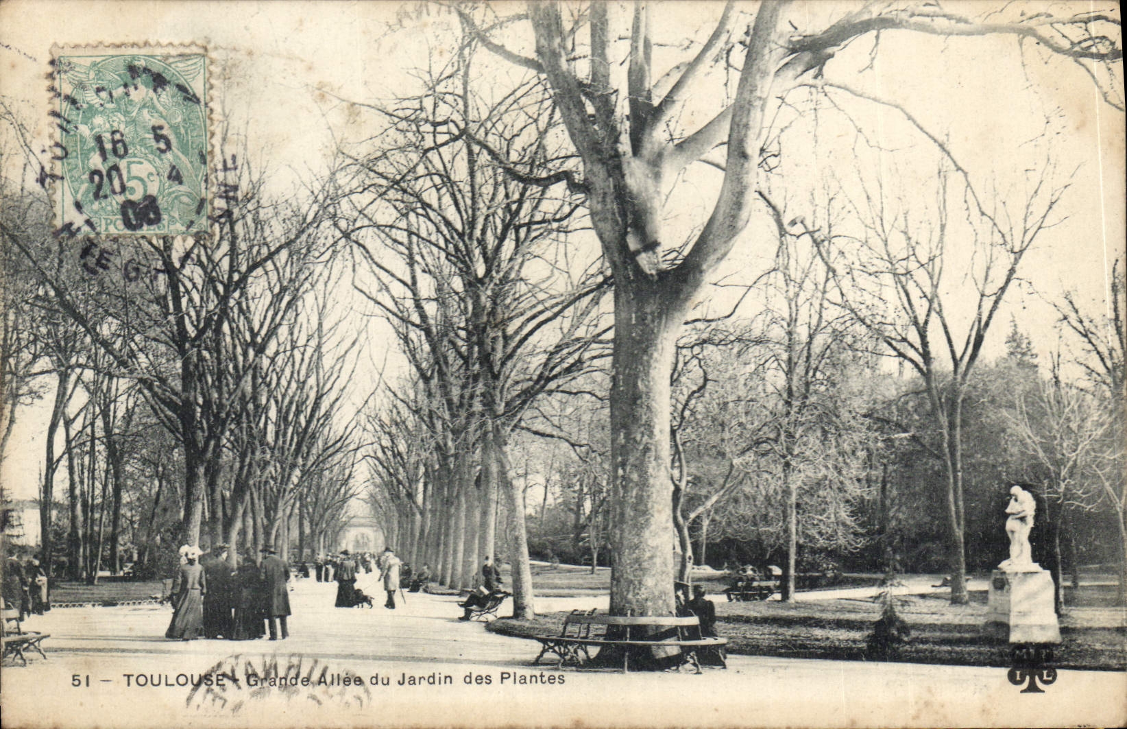 CPA Toulouse La Grande Allee du Jardin des Plantes 