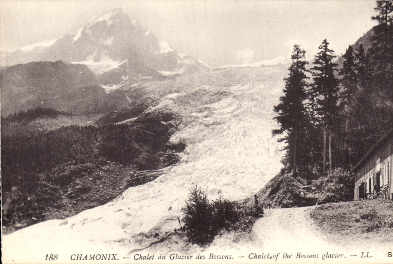 CPA Chamonix Chatel du Glacier des Bossons 