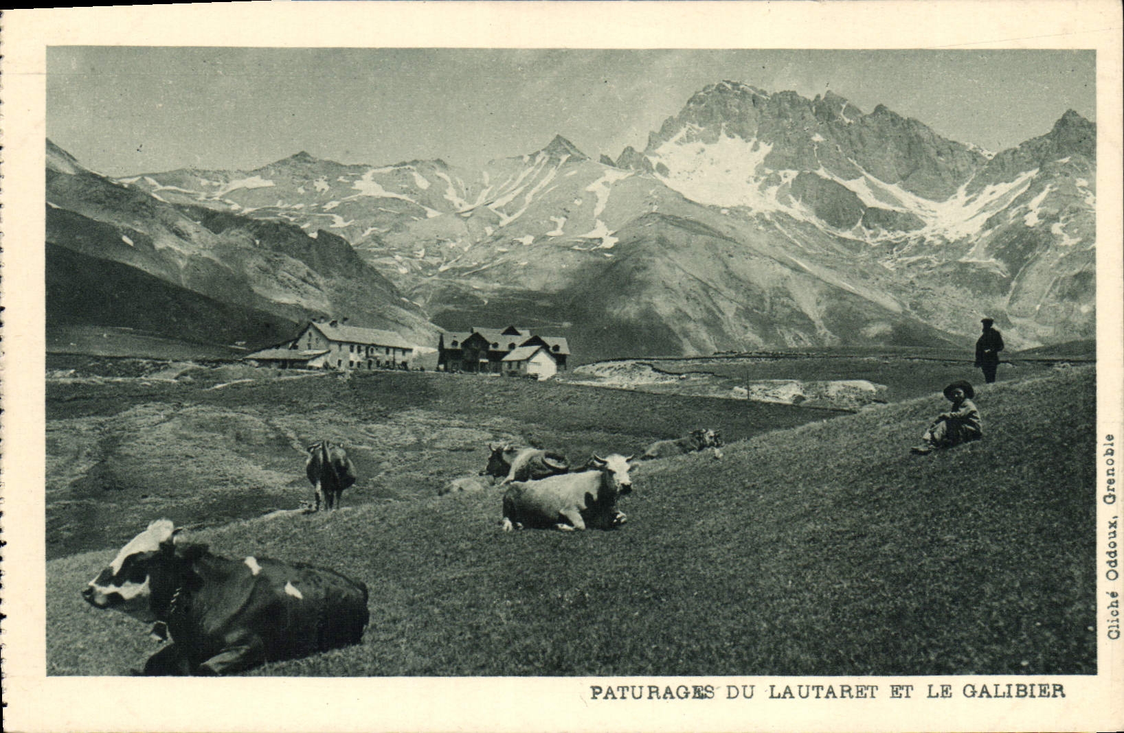 CPA Paturages du Lautaret et le Galibier Vaches