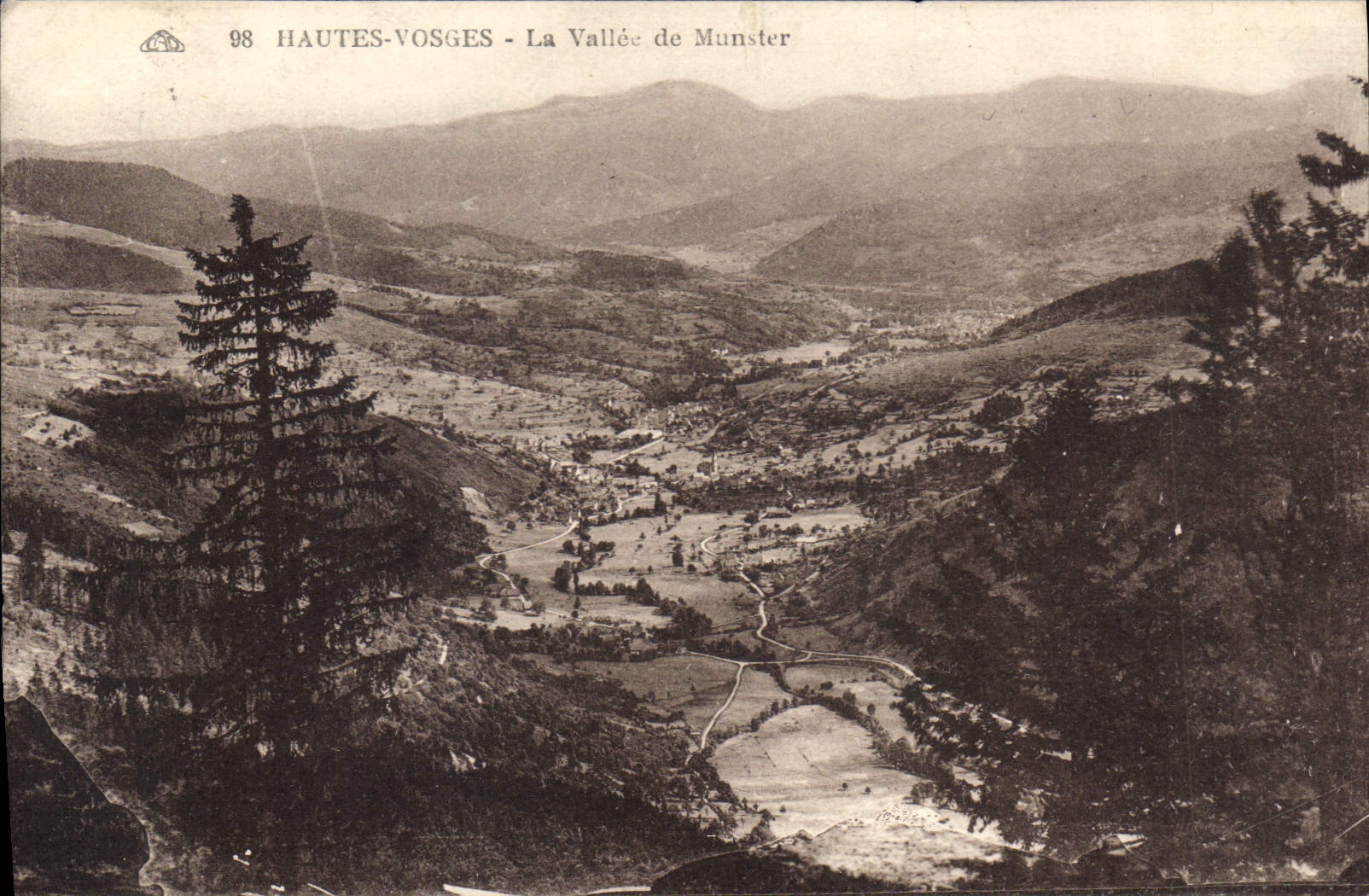 CPA Hautes Vosges la Vallee de Munster 