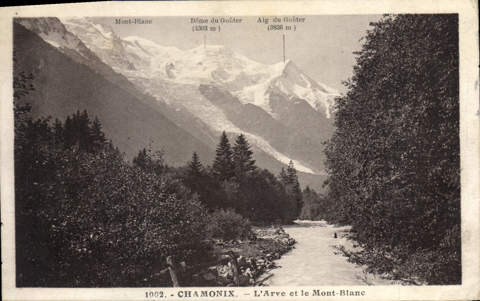 CPA Chamonix l'Avre et le Mont Blanc 