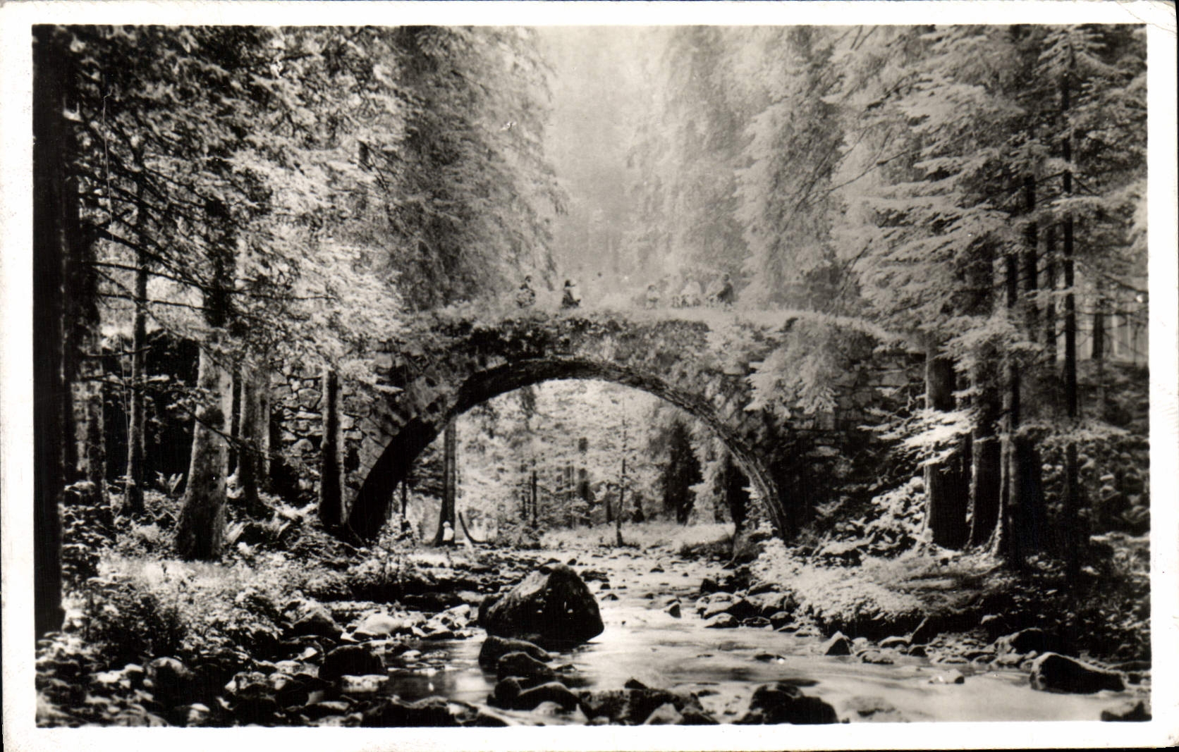 CPA Gerardmer Le Pont des Fees 