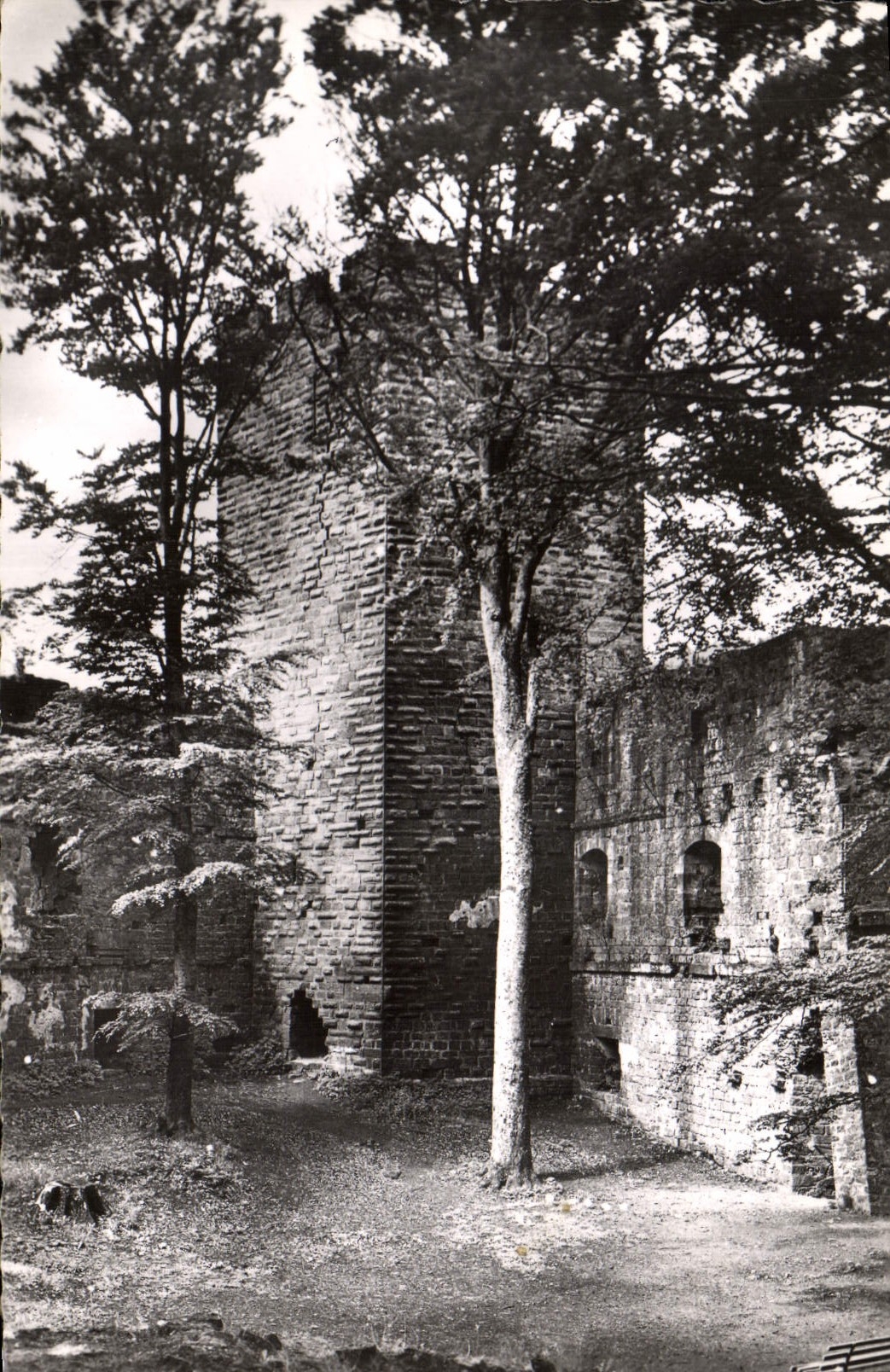 CPA Wangenbourg Les Ruines Vue interieure