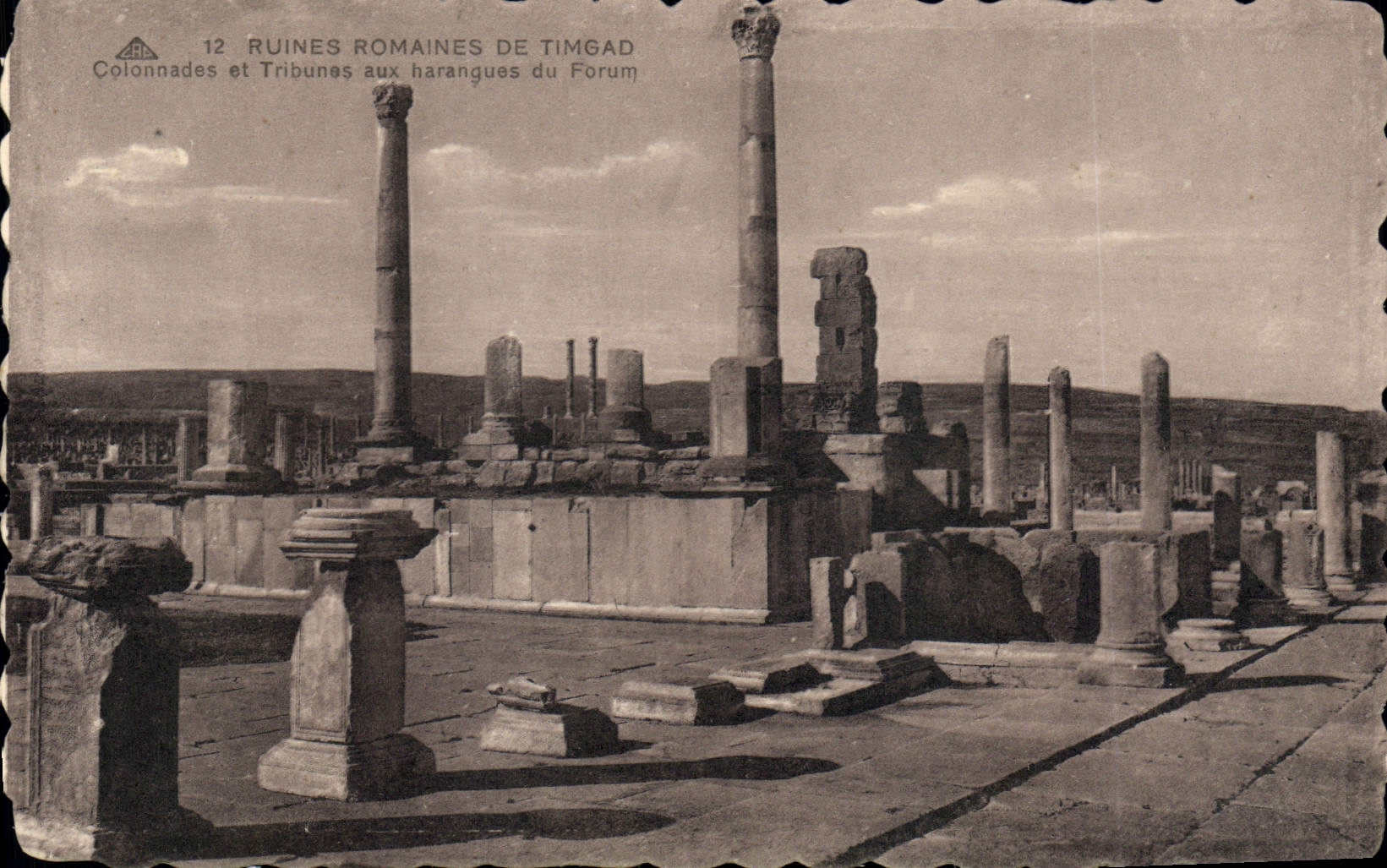 CPA Ruines romaines de Timgad Colonades et Tribunes aux harangues du Forum 