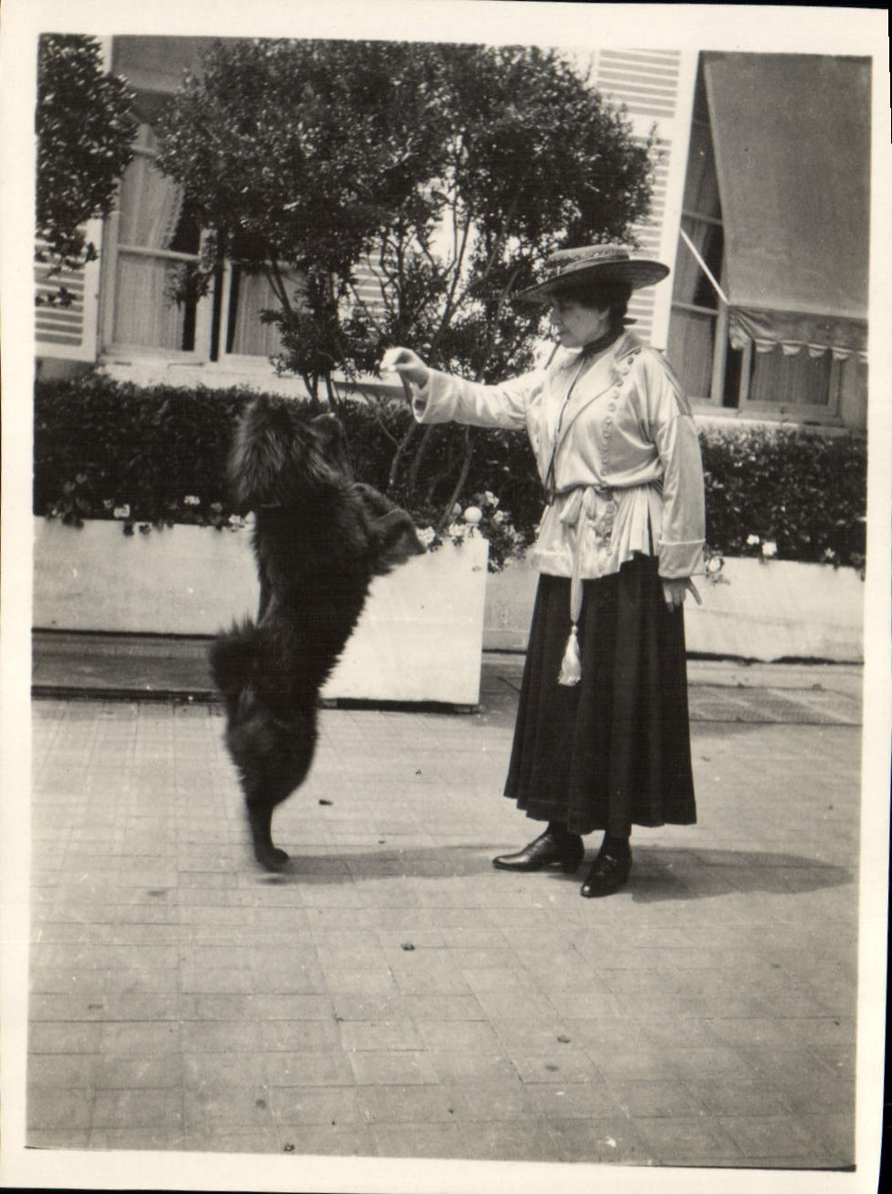 Photo Femme Chien