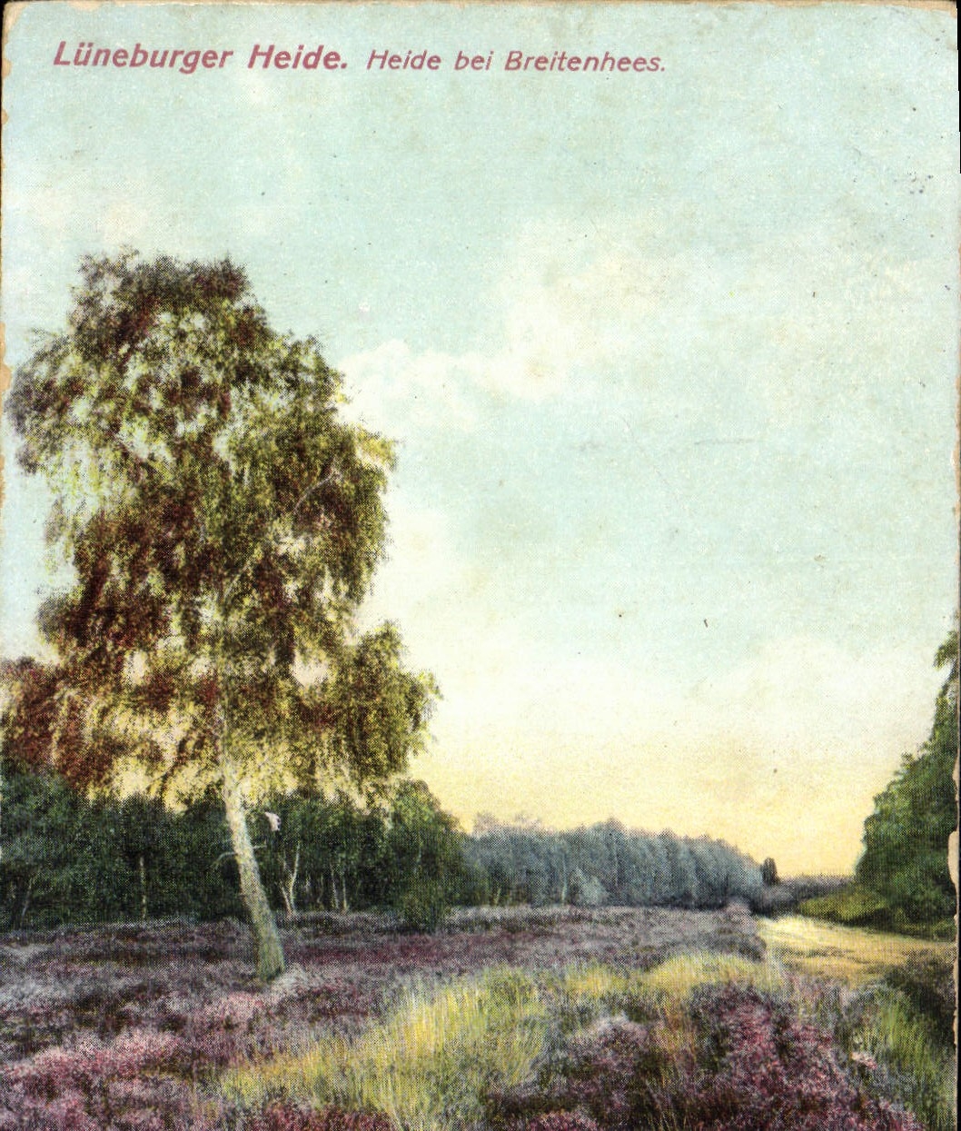 CPA Luneburger Heide Heide bei Breitenhees 