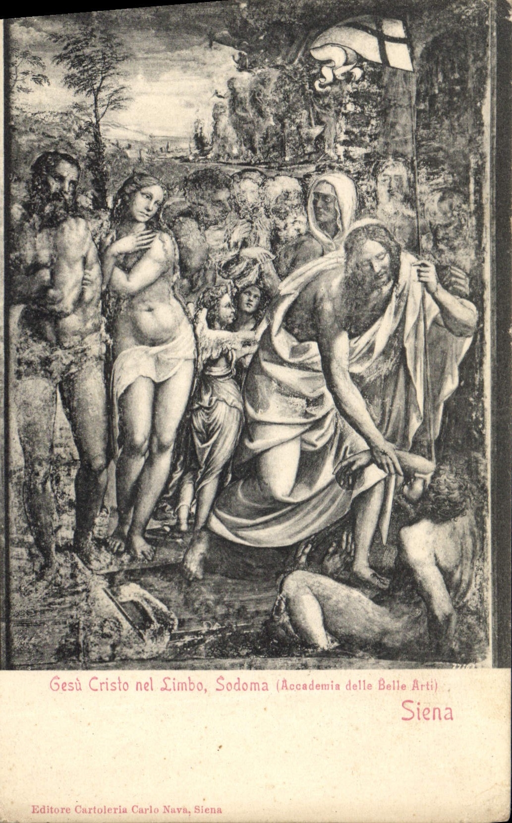 CPA Gesu Siena Cristo nel Sambo Sodoma Siena 