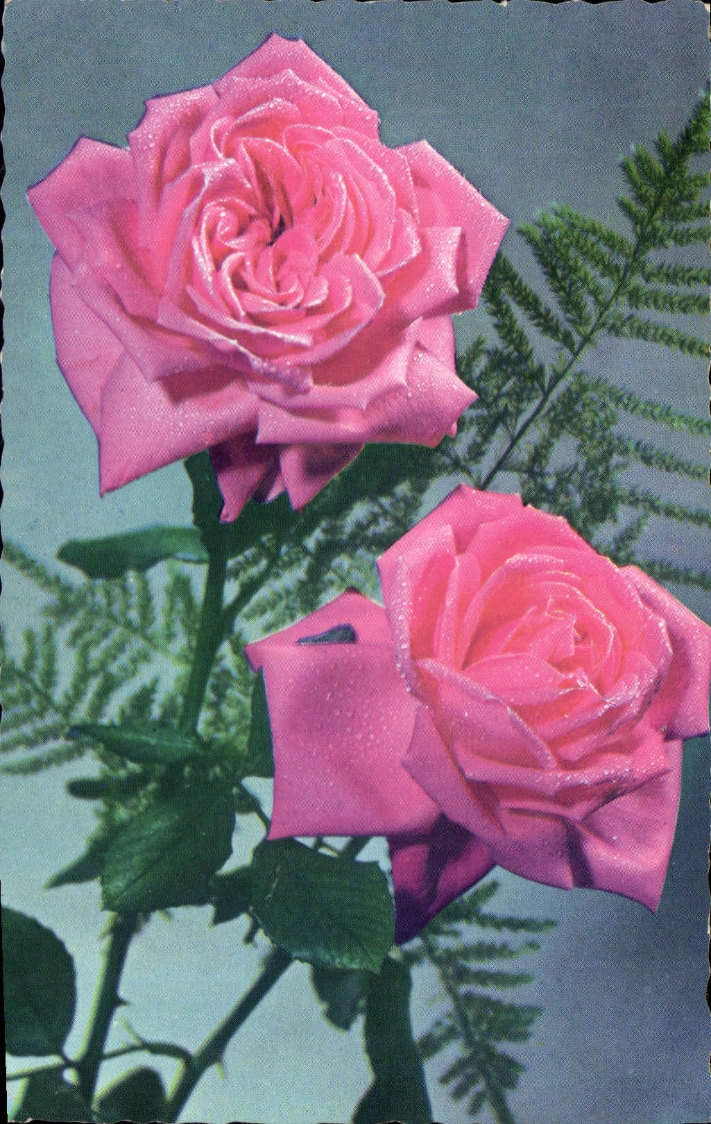 CPA Fantaisie Fleurs