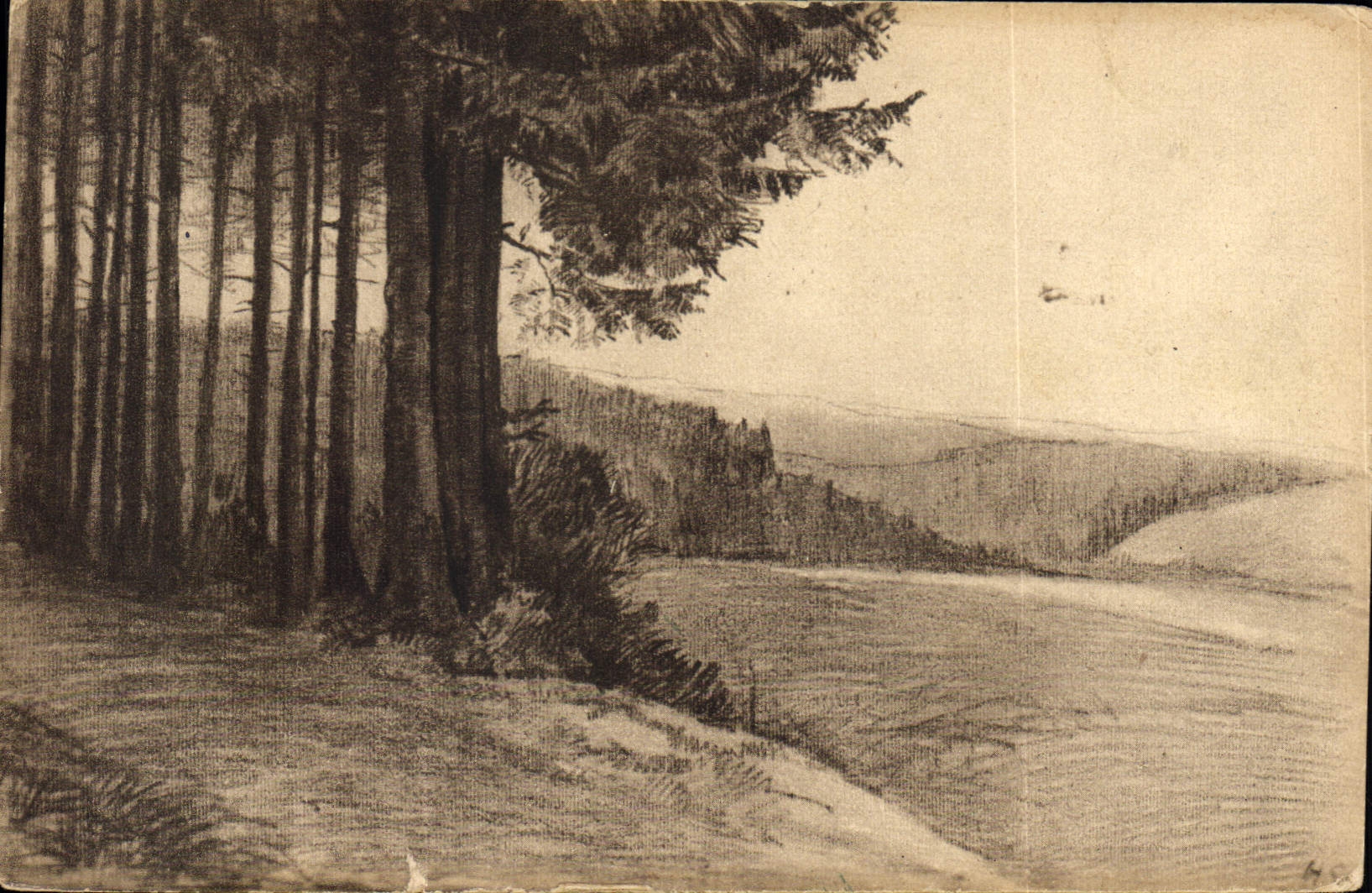 CPA Am Waldrand Studien aus dem Schwarzwald 