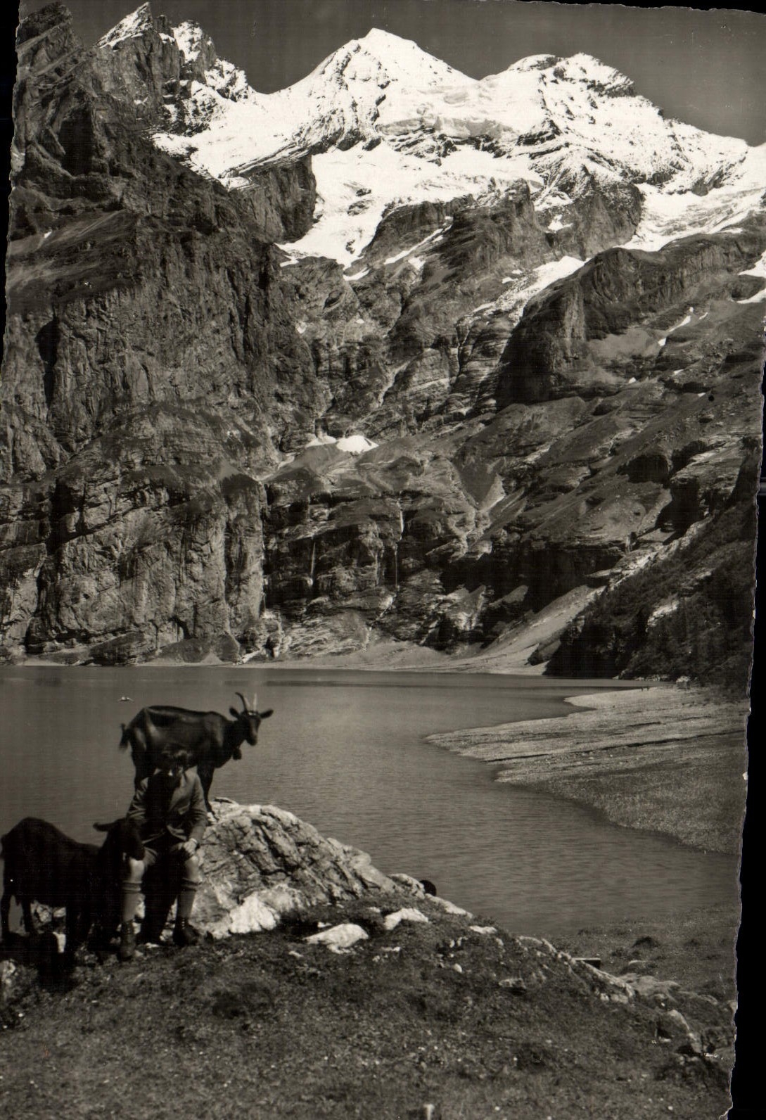 CPA Oeschinensee mit Biumlissalp Chevre