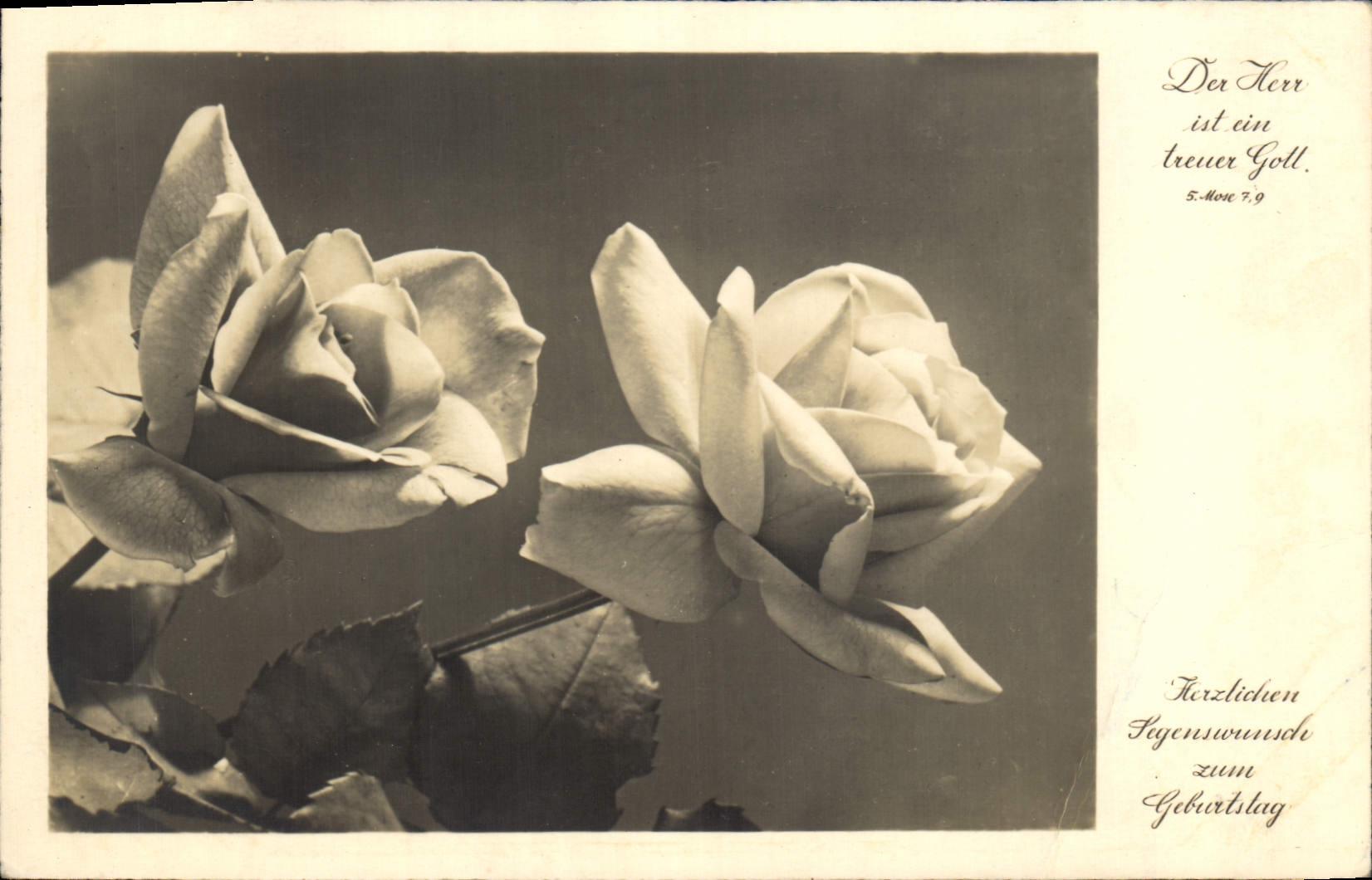 CPA Fantaisie Fleurs