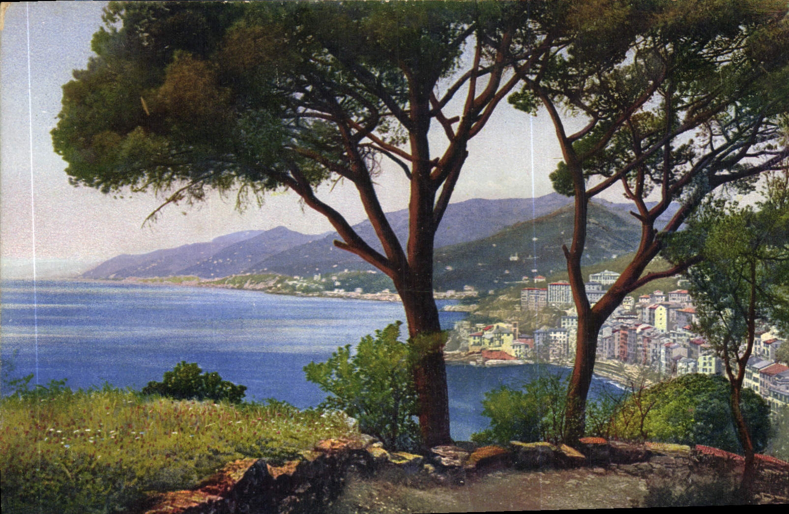 CPA Riviera di Levante Camogli 