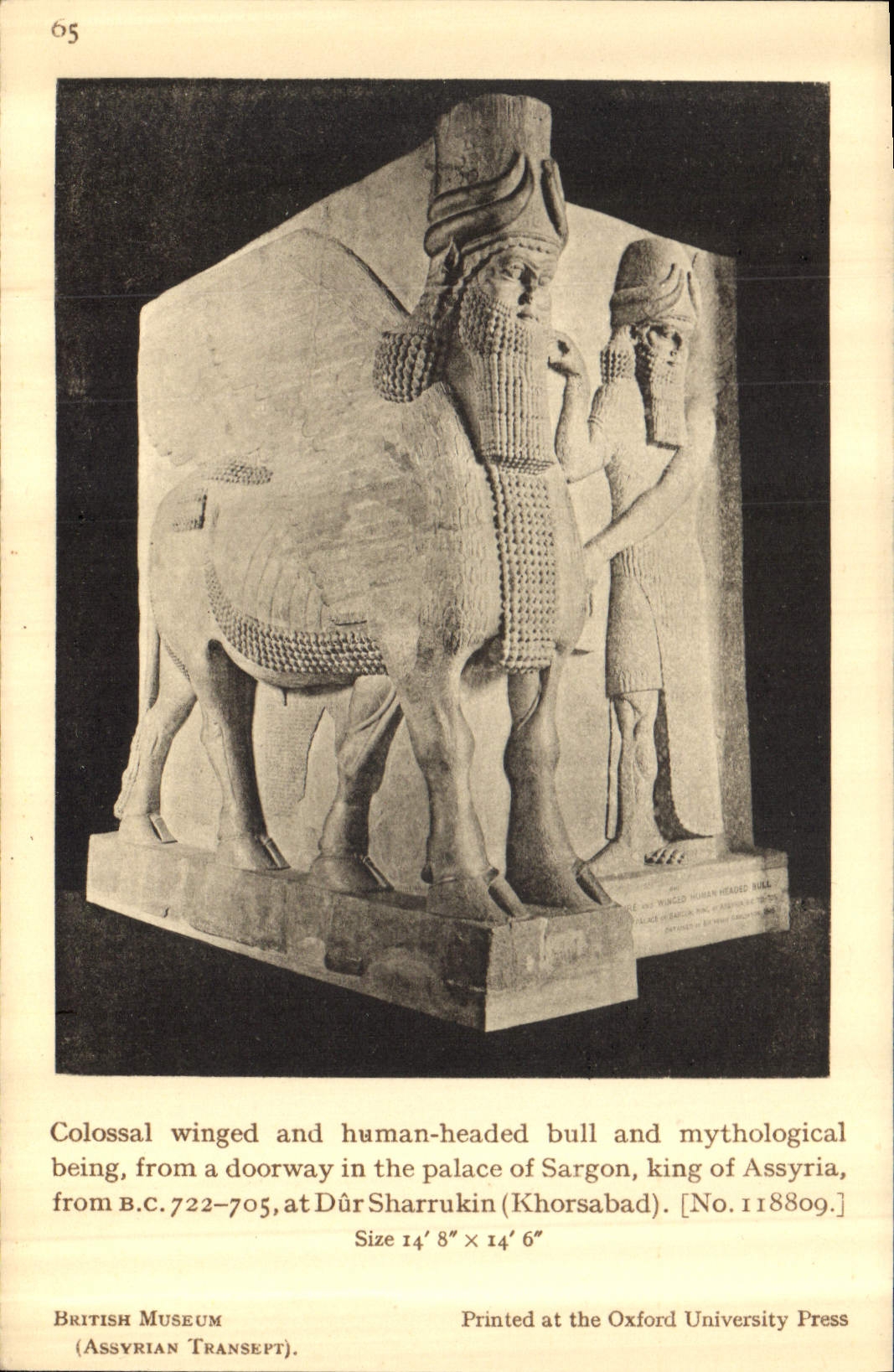CPA British Museum Assverian Transept Colossal winged and human headed bull and mythikigical being f