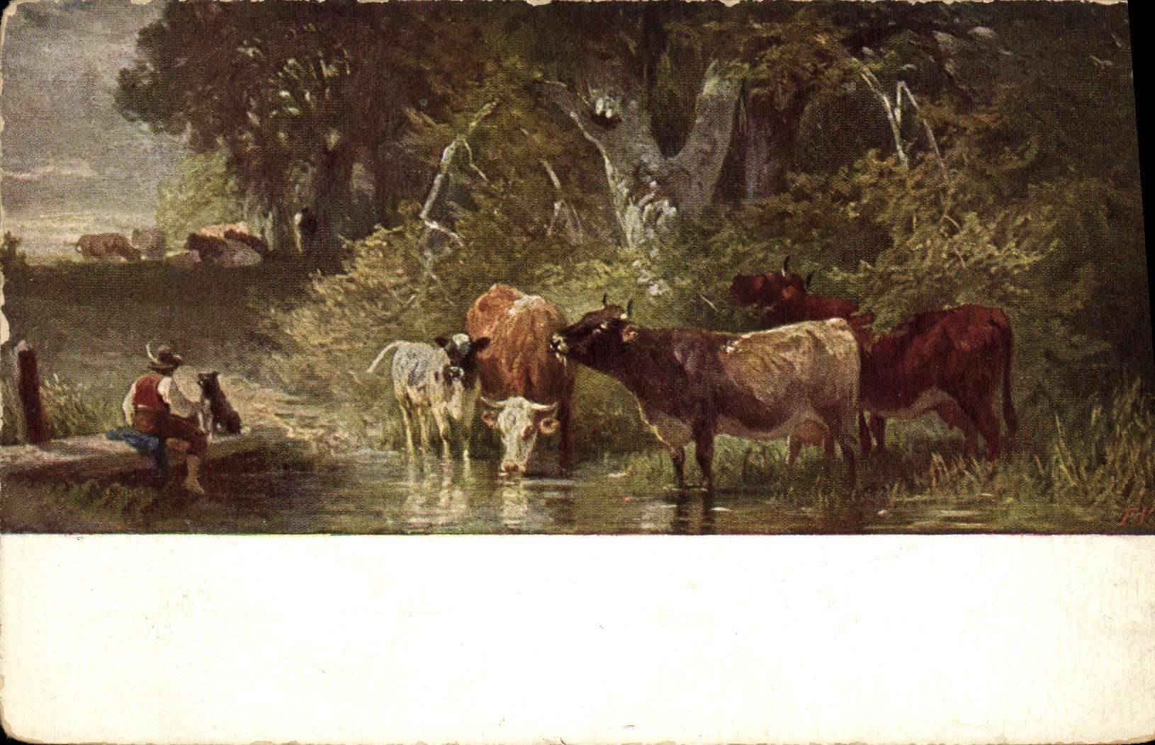 CPA Vaches