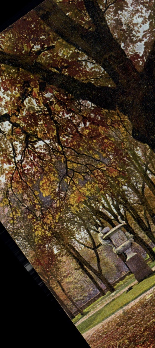 CPA Dresden Grober im Herbst 