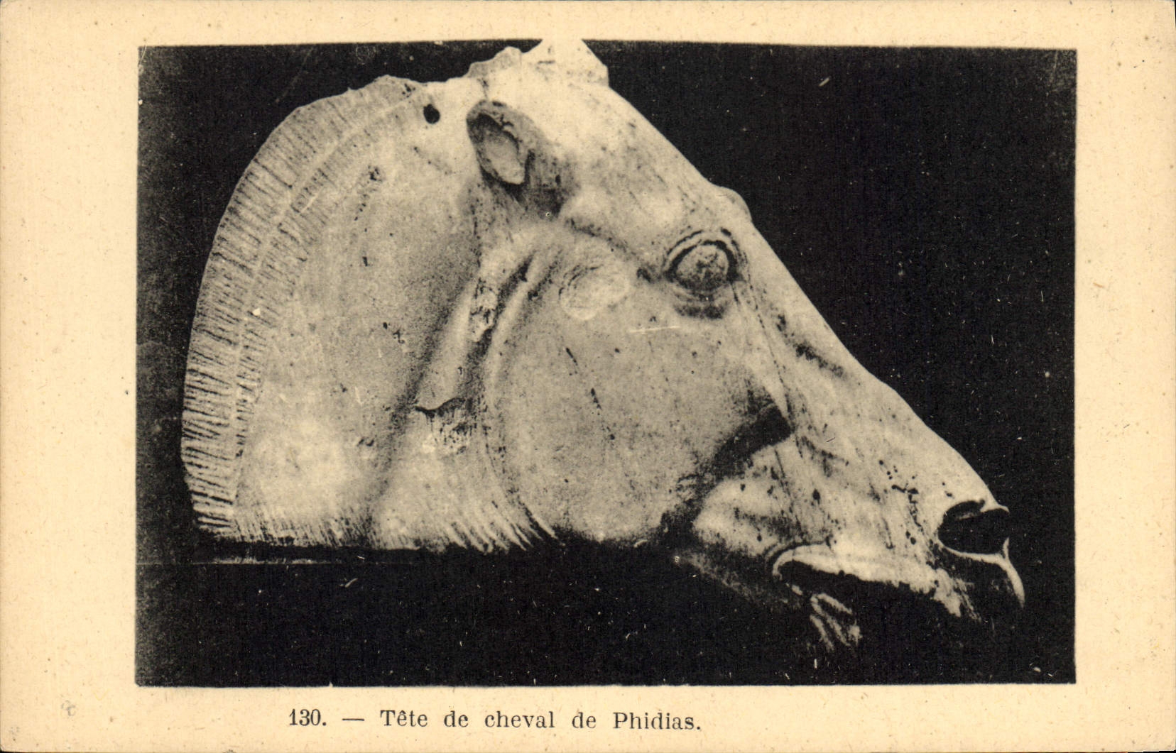 CPA Tete de Cheval de Phidias 