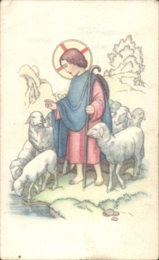 Image Berger Moutons