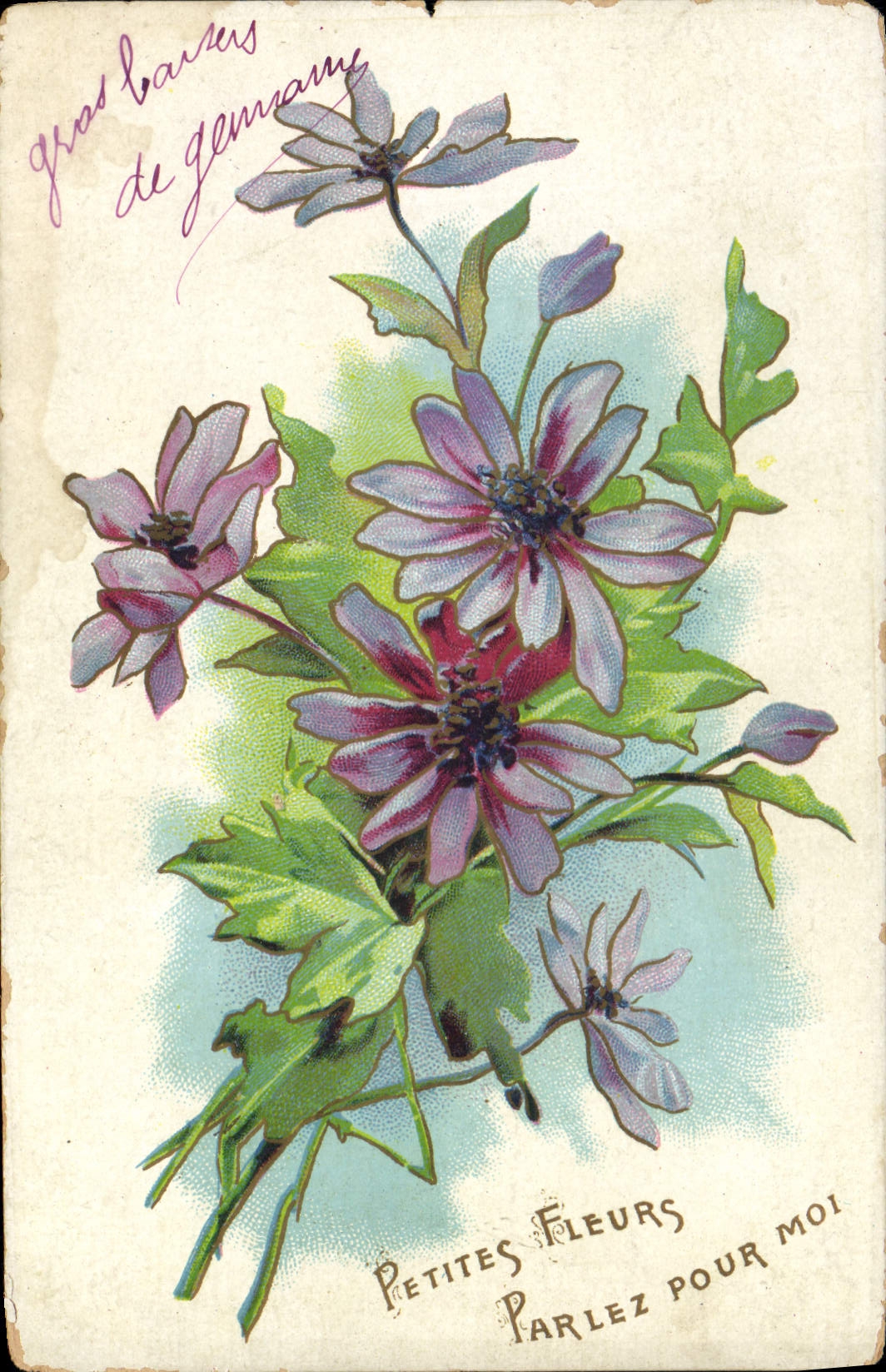 CPA Petites Fleurs Parlez pour Moi 