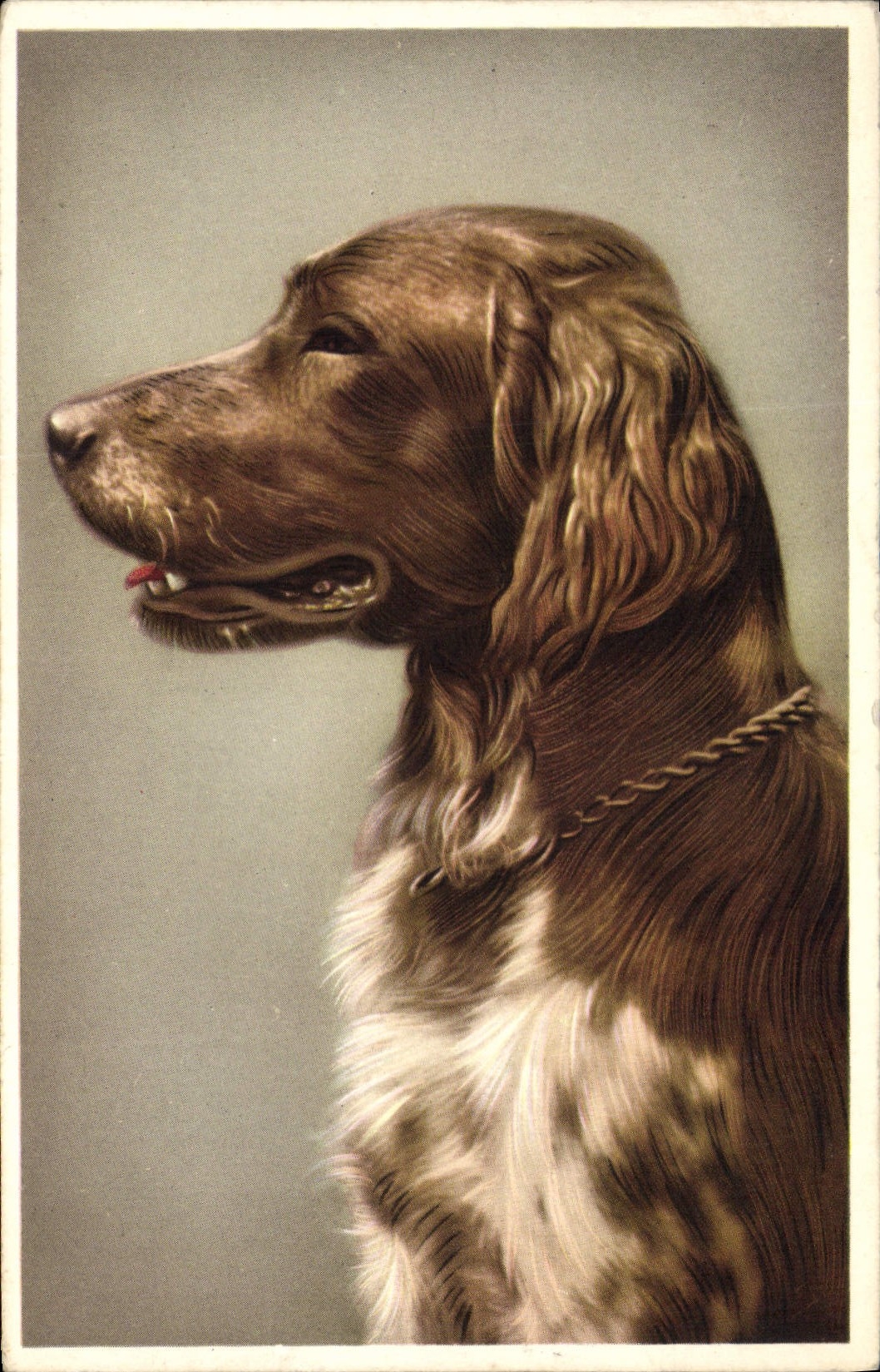 CPA Chien