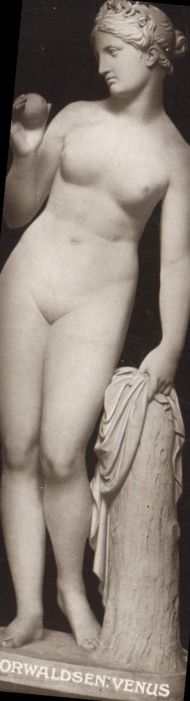 CPA Venus 