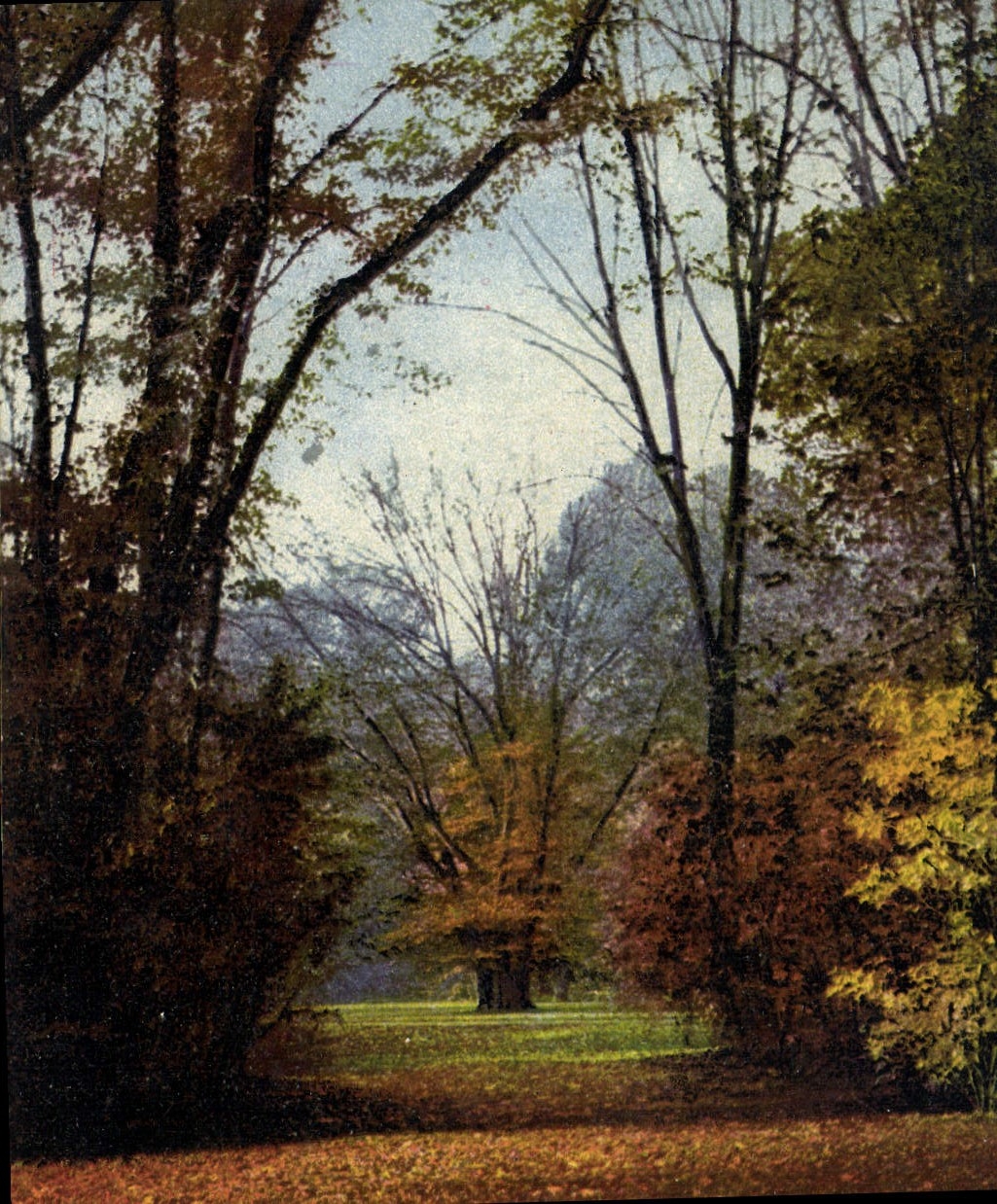 CPA Dresden Grosser Garten im Herbst 