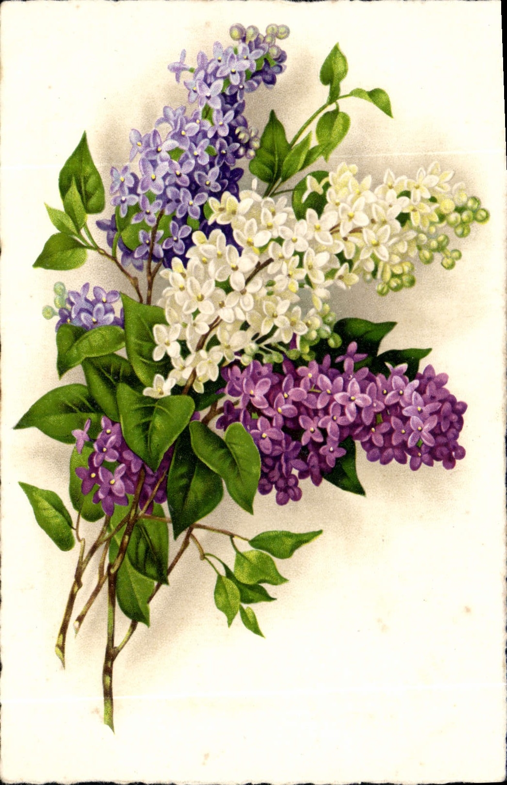 CPA Bonne et Heureux Fete Fleurs
