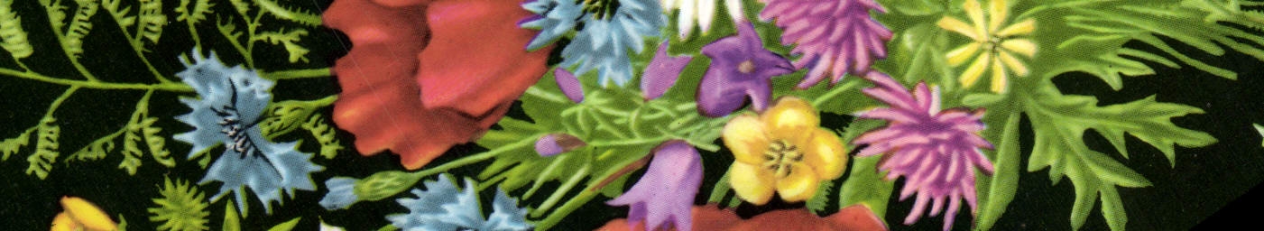 CPA Fantaisie Fleurs