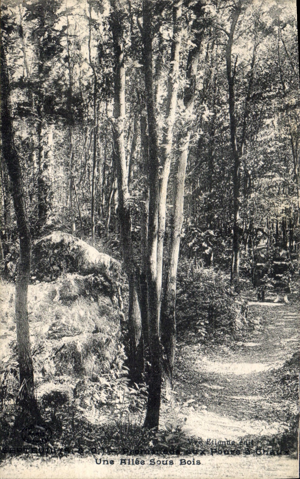 CPA Une Allee Sous Bois 