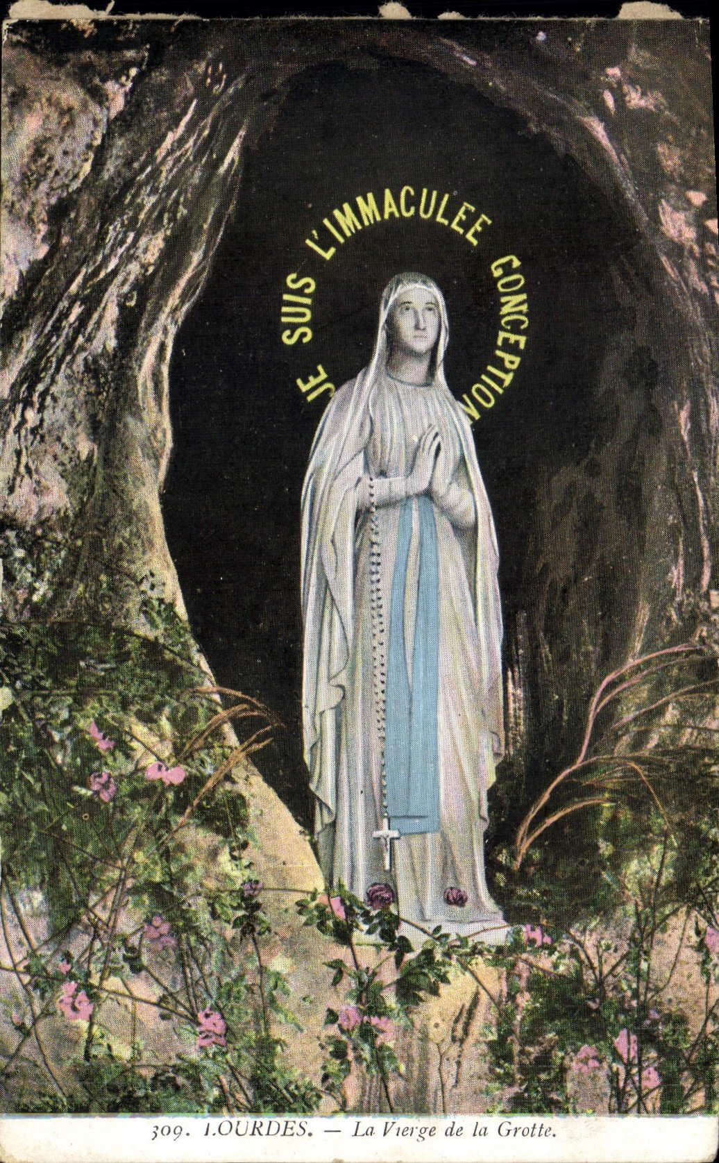 CPA Lourdes La Vierge de la Grotte 