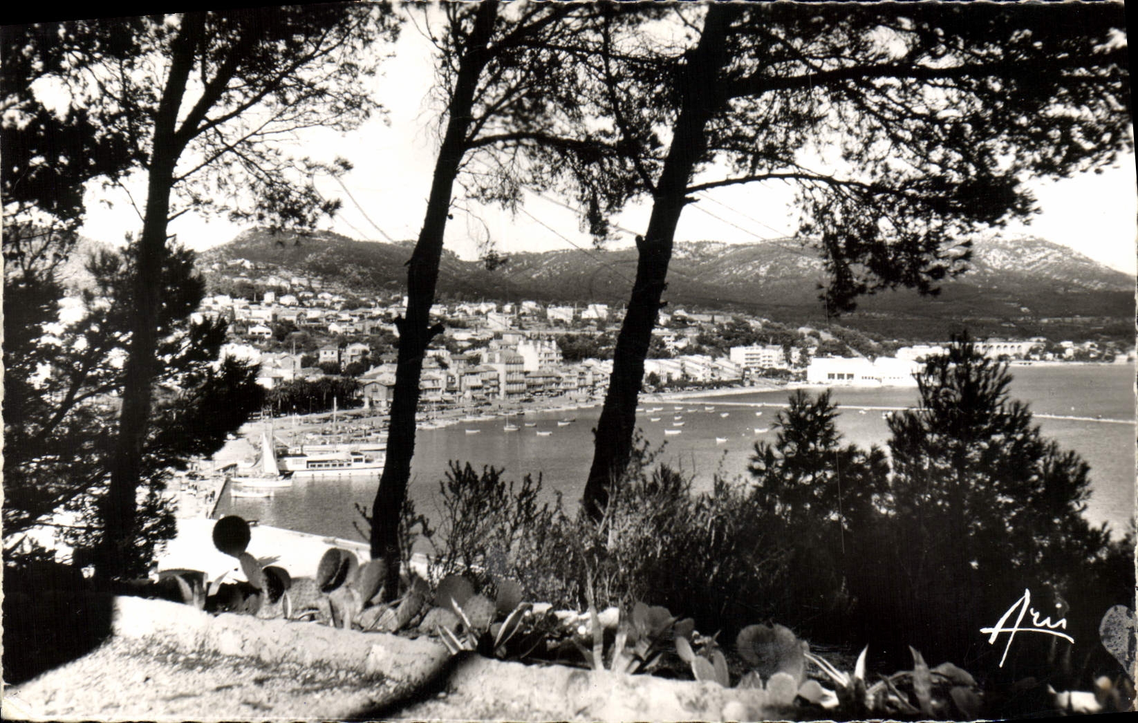 CPA Cote d'Azur Bandol Vue Generale 